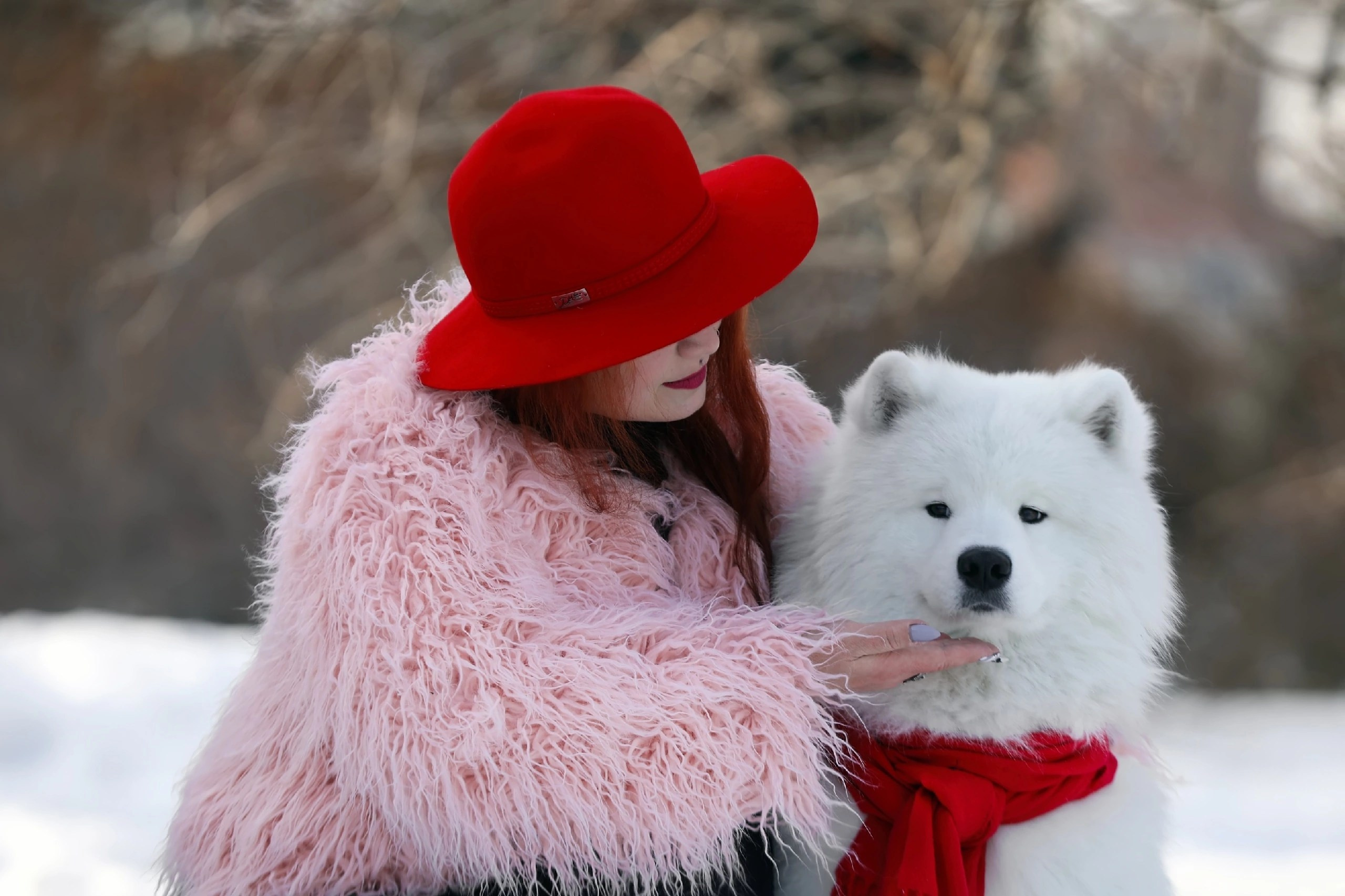 Идет запись. Самоед Новосибирск