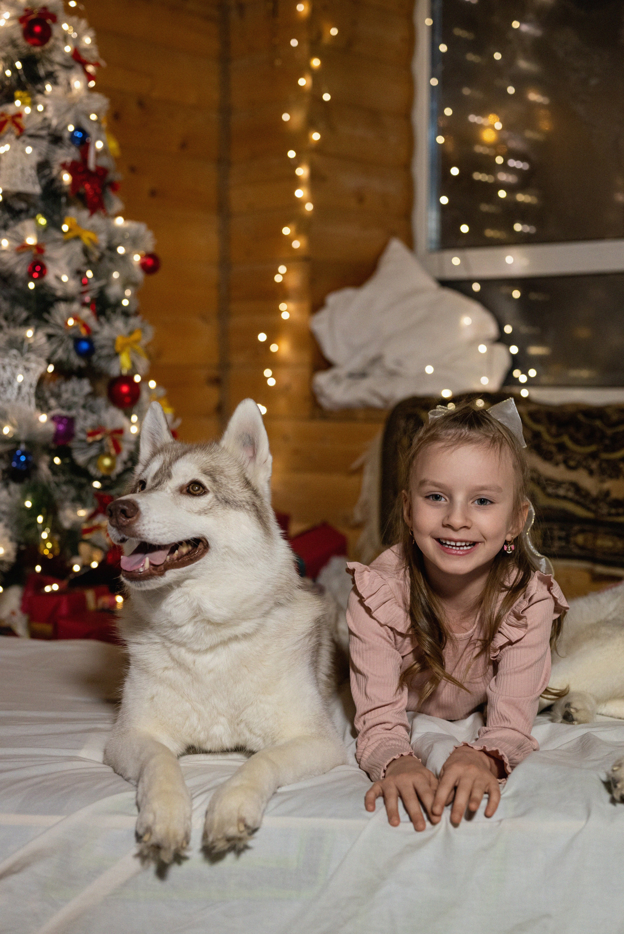 Фотопроект с хаски 2024 г. Фотограф в городе Салават