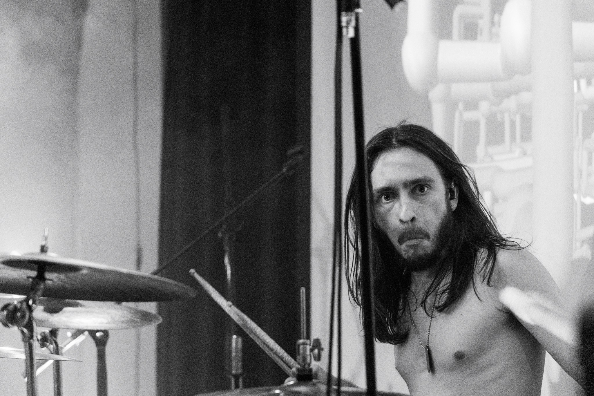 Змееед, Apodemus, 20.12.25, TAGO)))MAGO)))