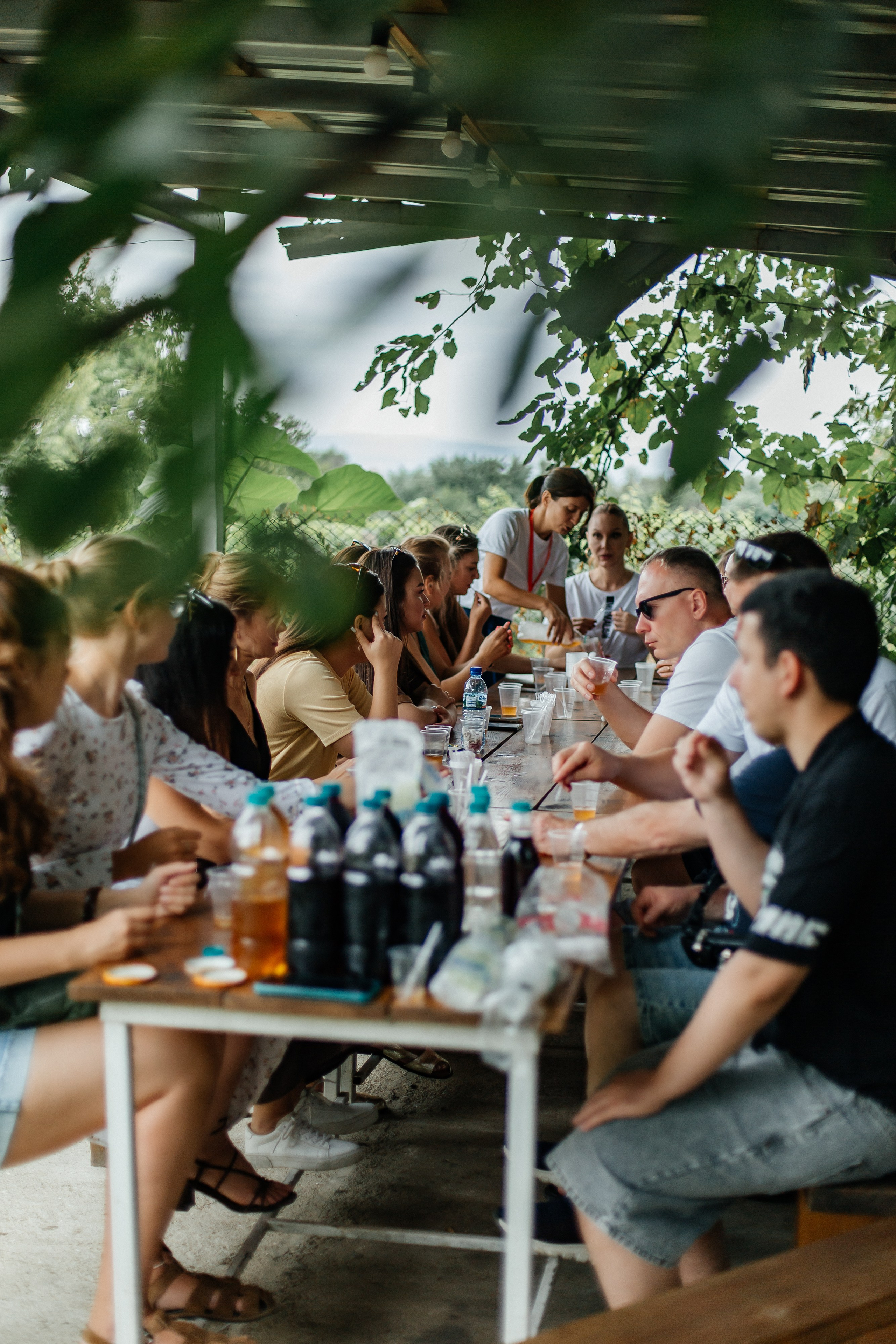 Тур в Грузию