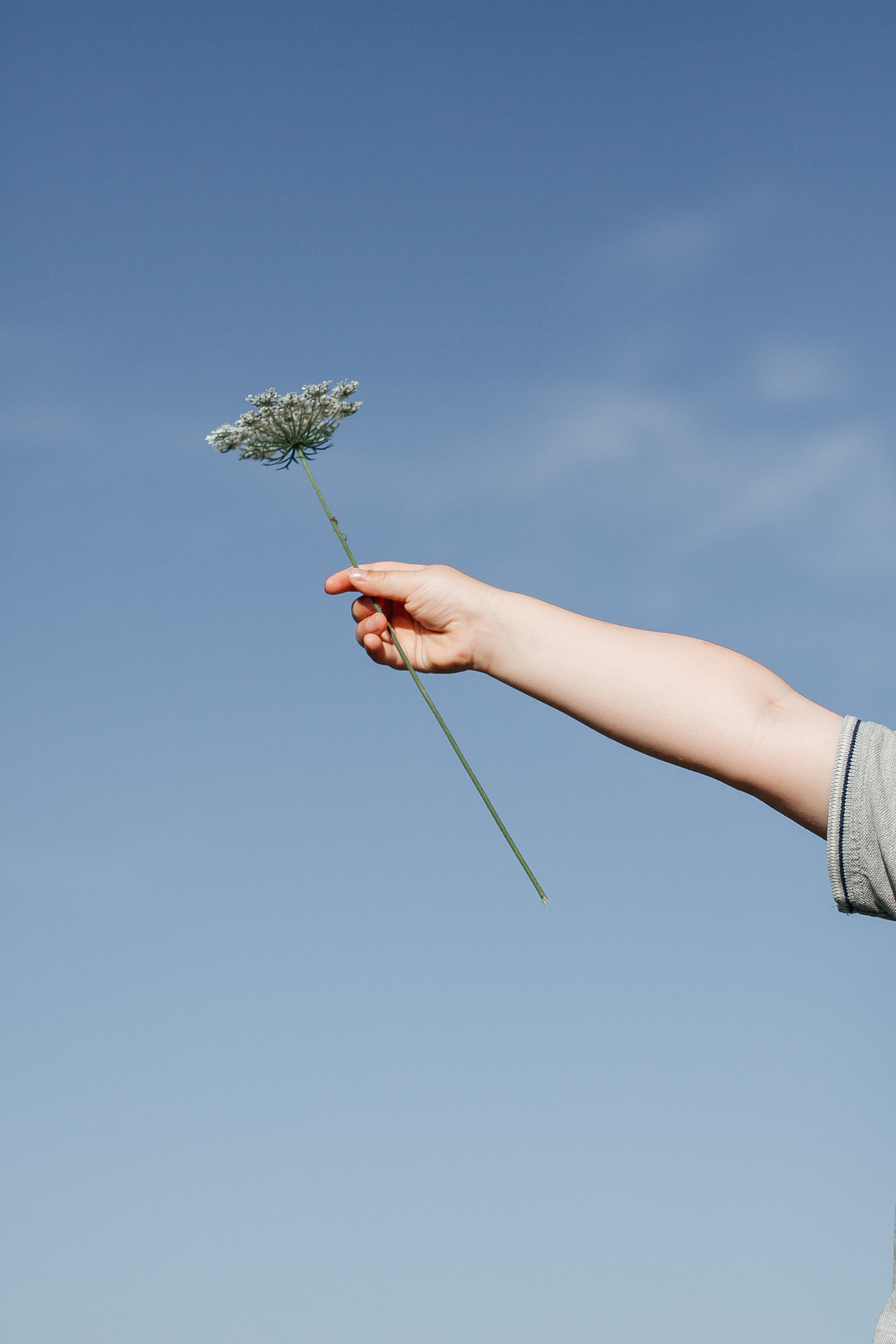 Гийом, Ларс и Жава