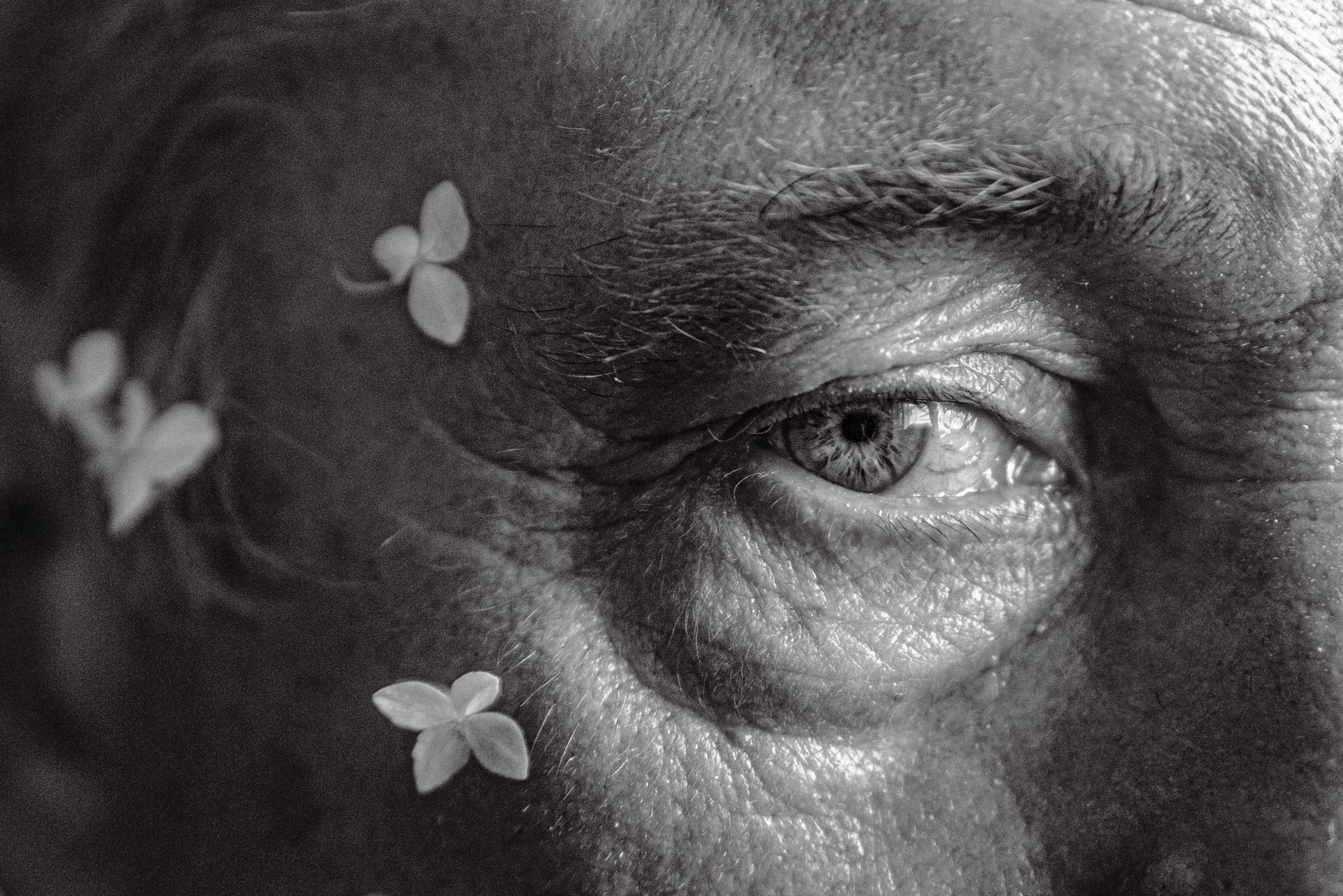 Фотограф в Самаре Елена Фомина