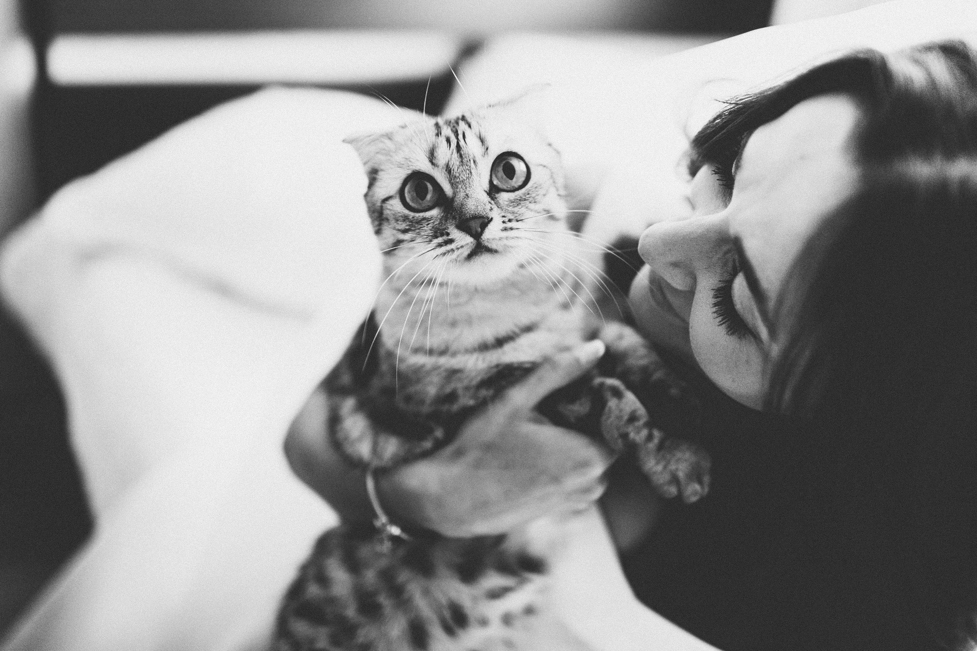 Ник & Диана. Свадебный фотограф в Москве — Павел Воронцов