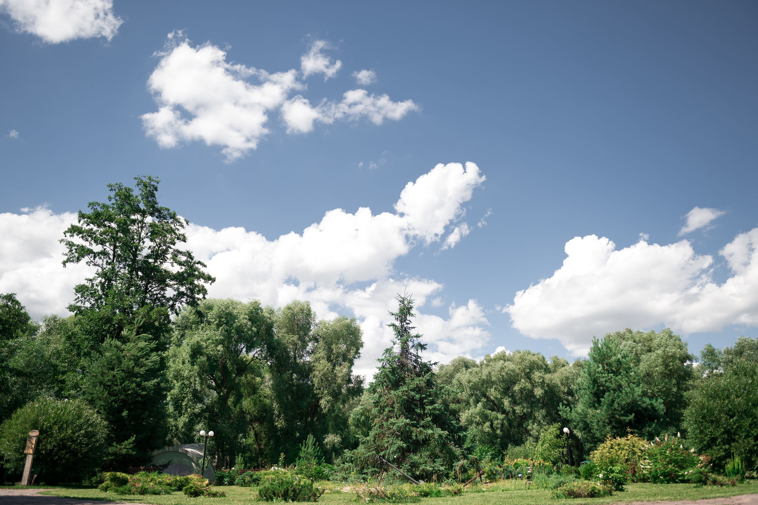 Дмитрий и Алина. Фотограф Егоров Констанин