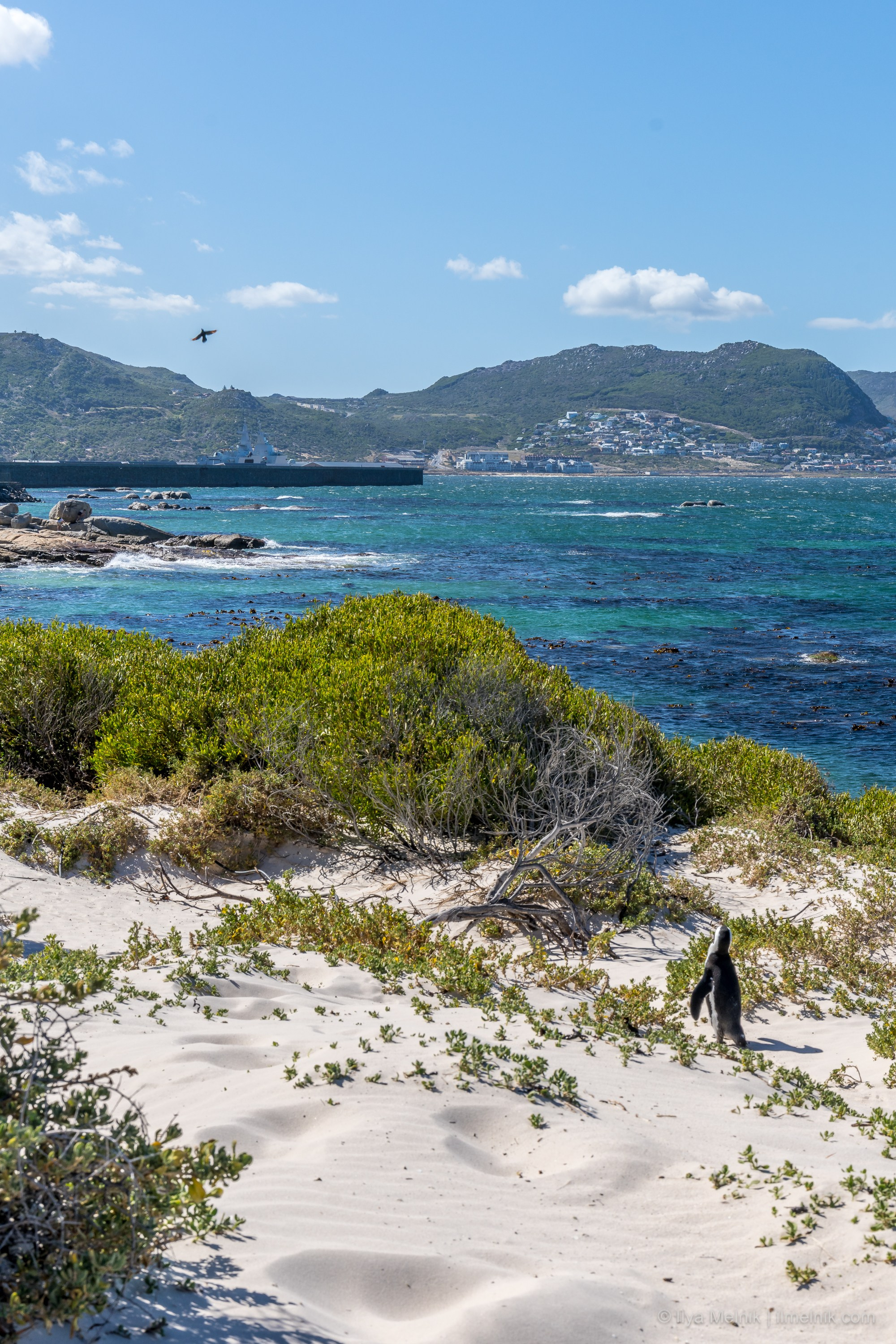 South Aftrica. Ilya Melnik Photography