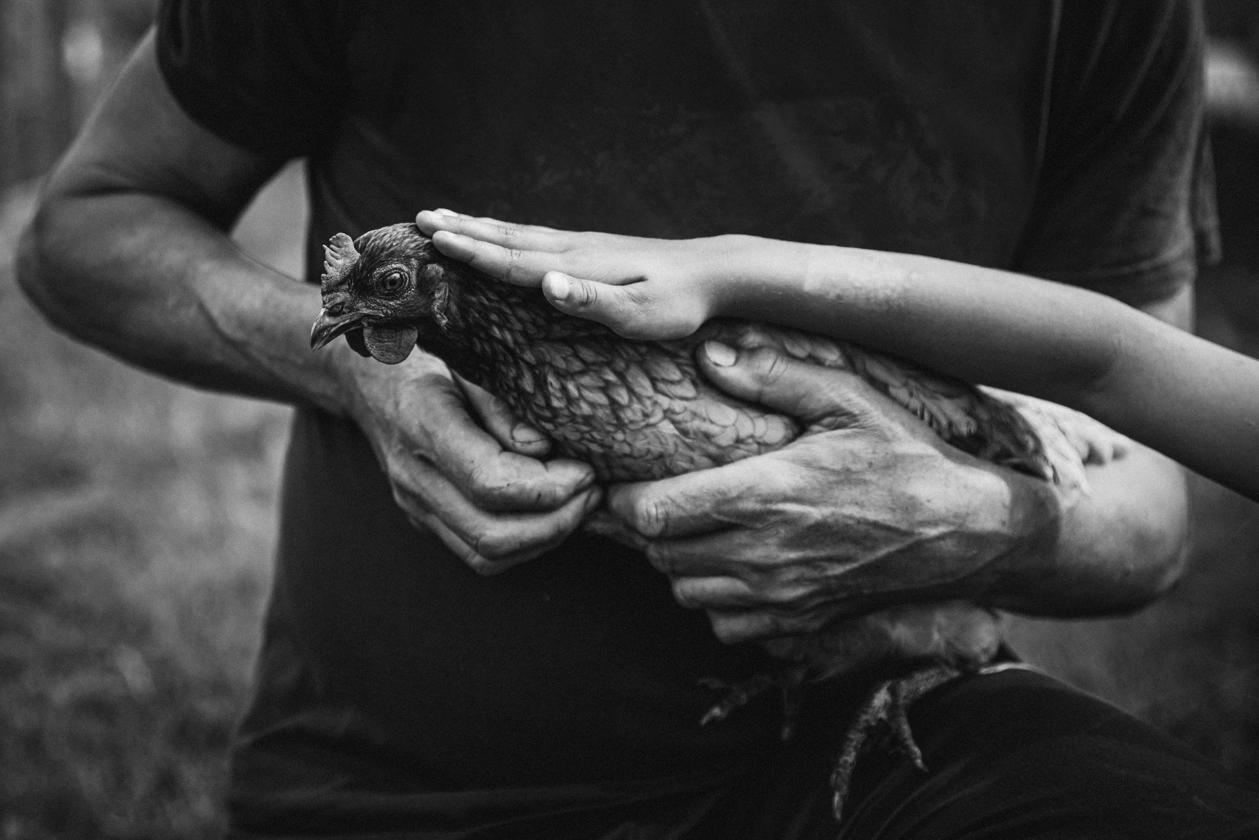 Детская фотосессия. Семейный и детский фотограф в Санкт-Петербурге Маша Бичан