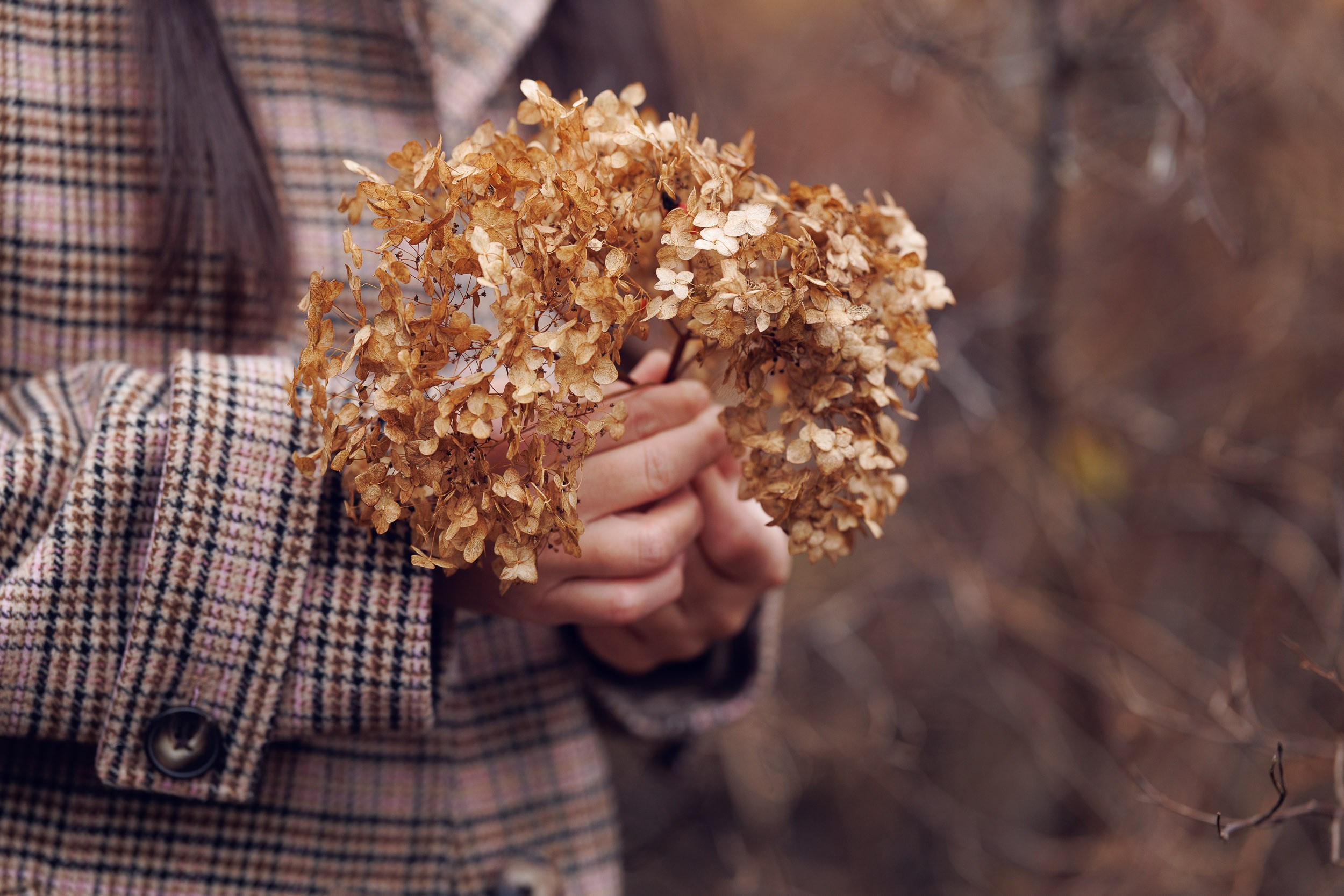 Фотосъемка в Москве и области. Фотограф-анималист в Москве и Московской области Татьяна Фролова