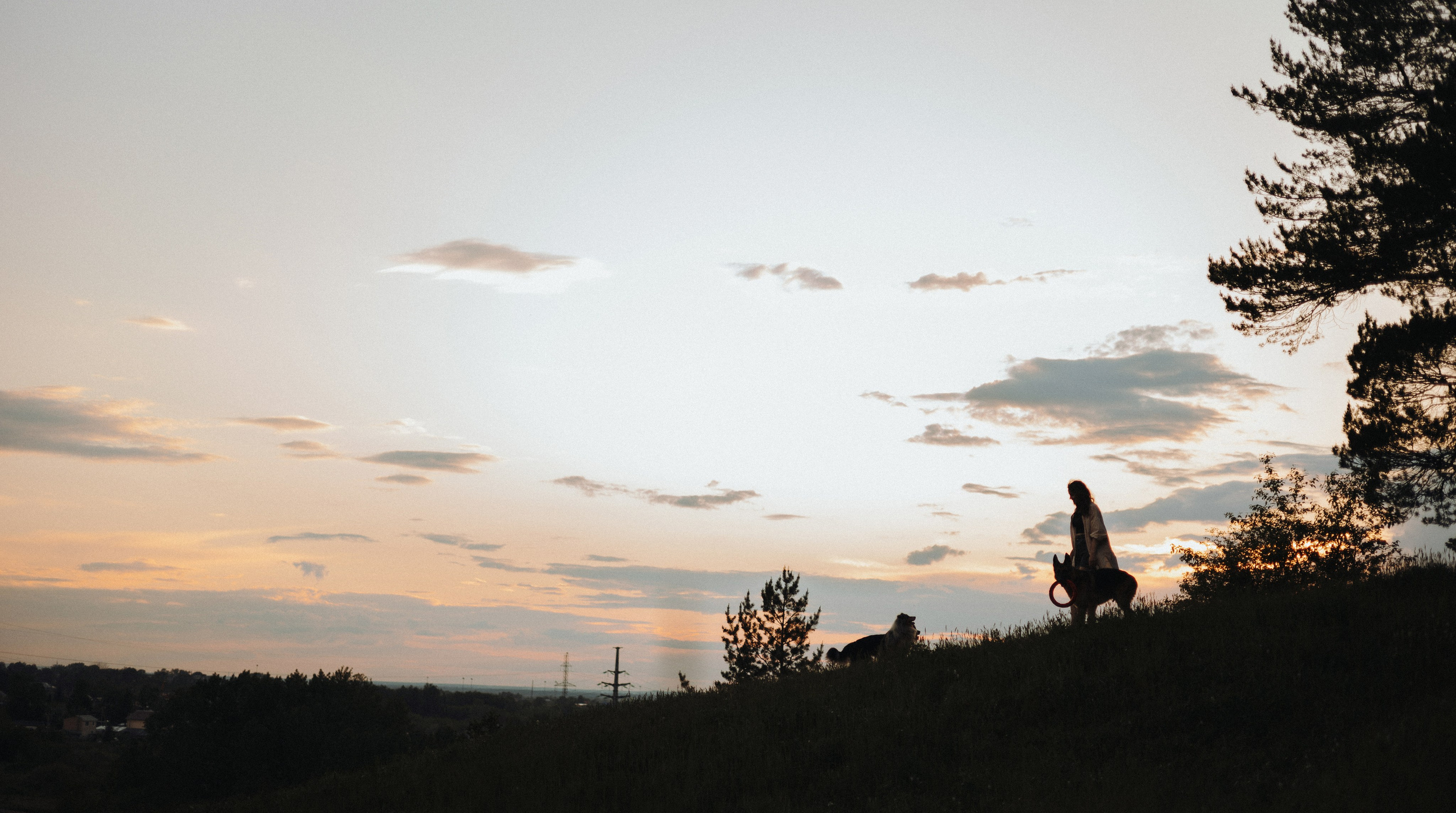 Настя, Шуня, Милка и Тигуан. Фотограф-анималист Богданова Полина