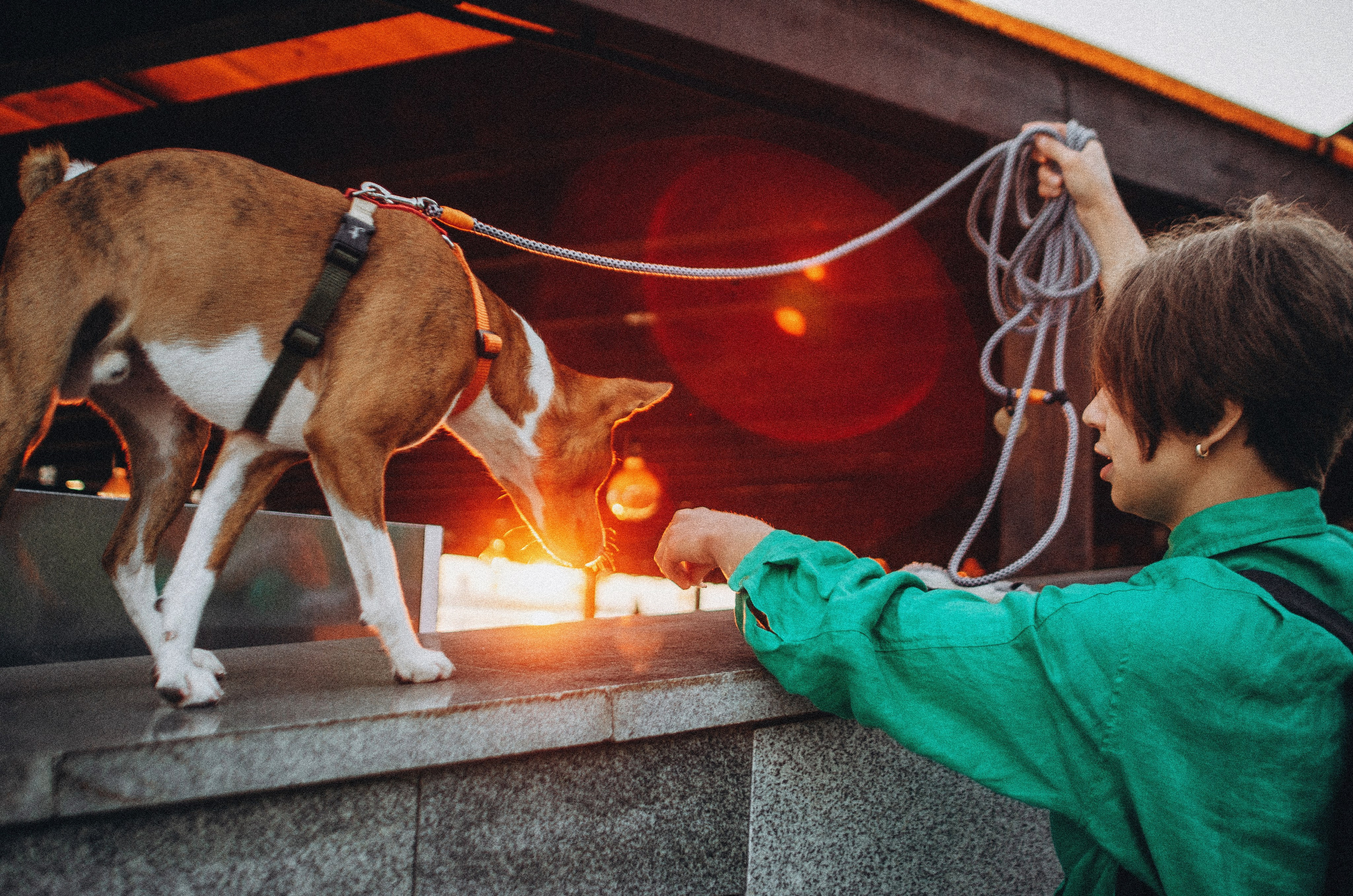 Снежана и Мэнни. Фотограф-анималист Богданова Полина