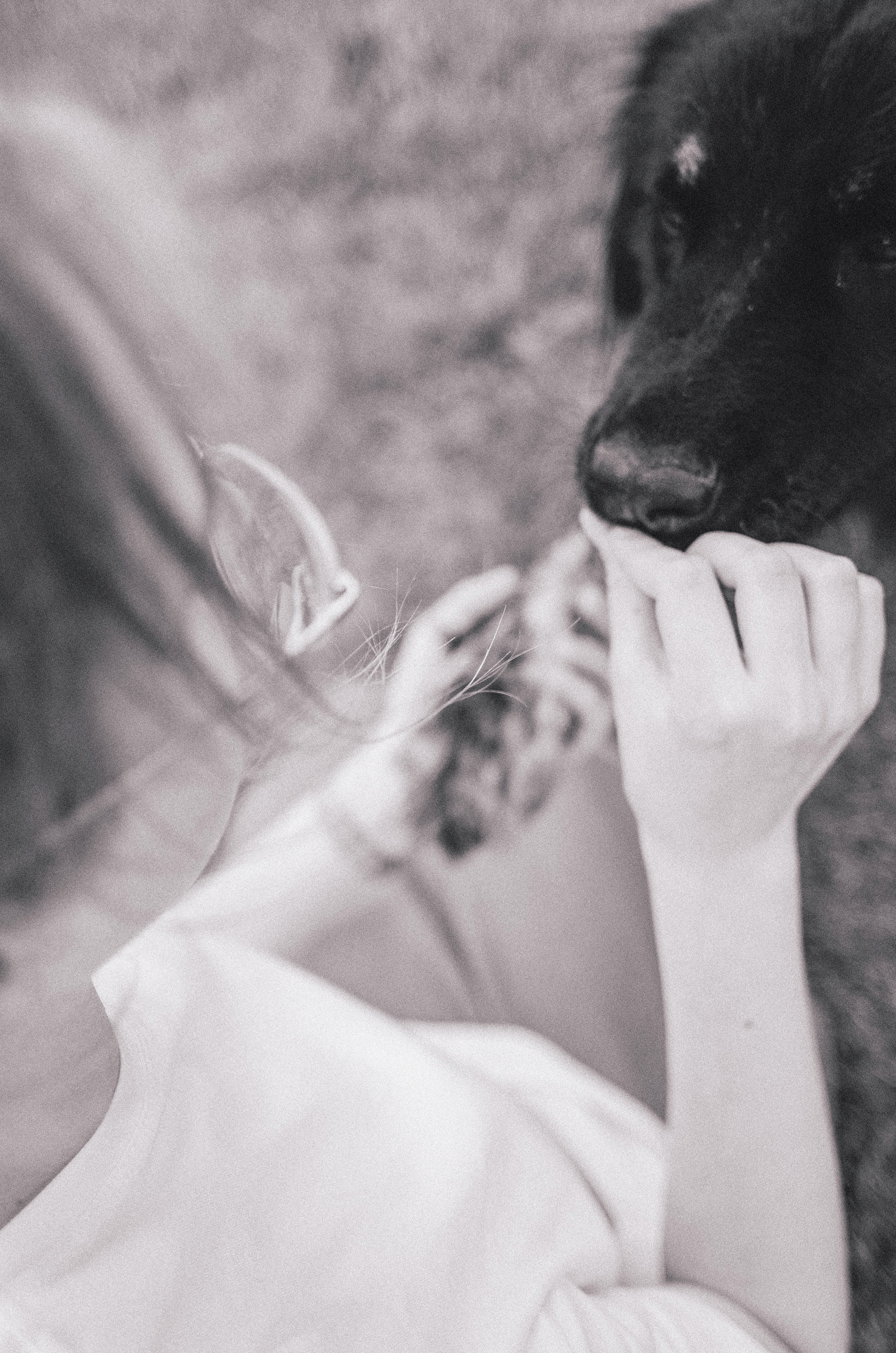 Анна и Марко. Фотограф-анималист Богданова Полина