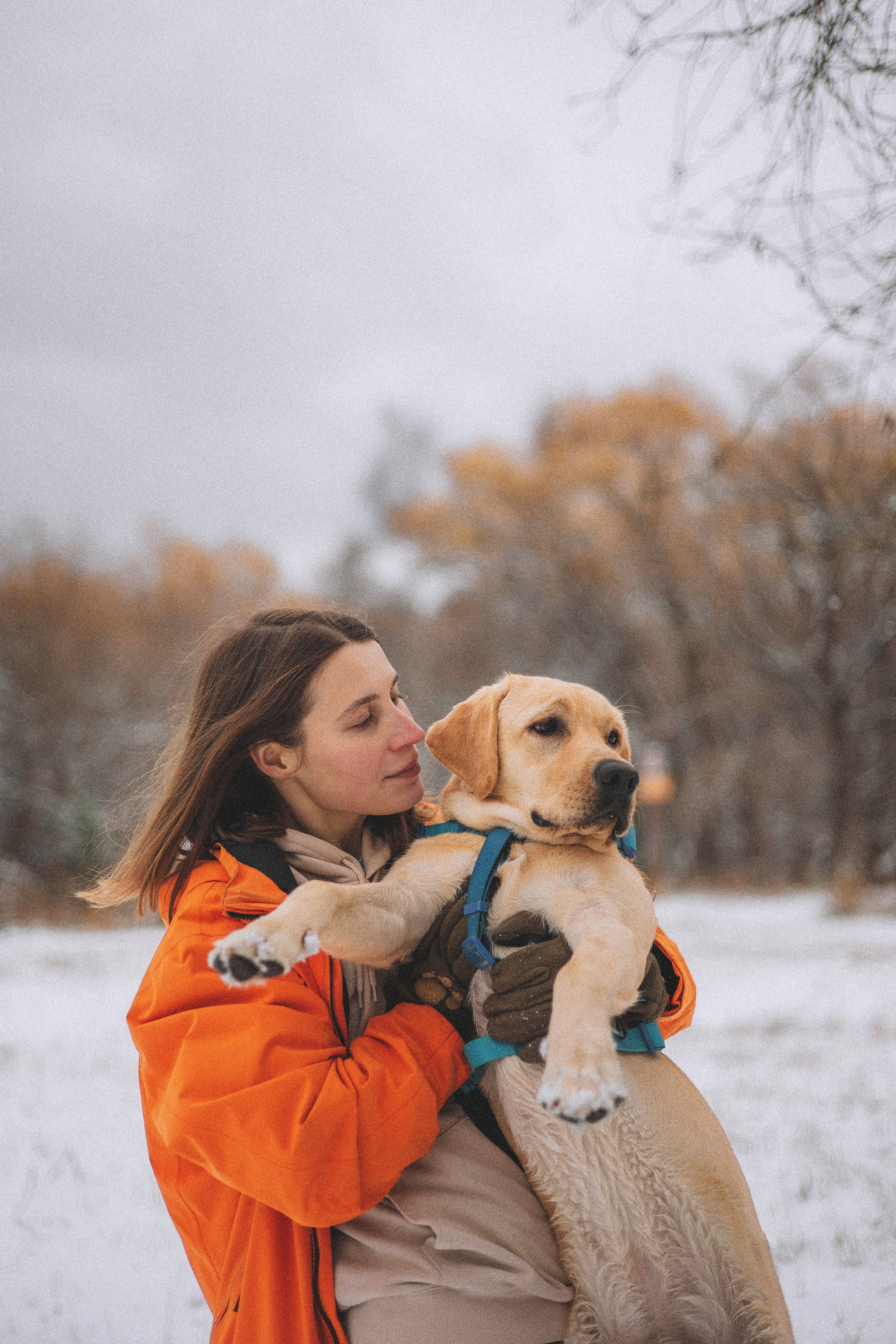 Маргарита и Варди. Фотограф-анималист Богданова Полина