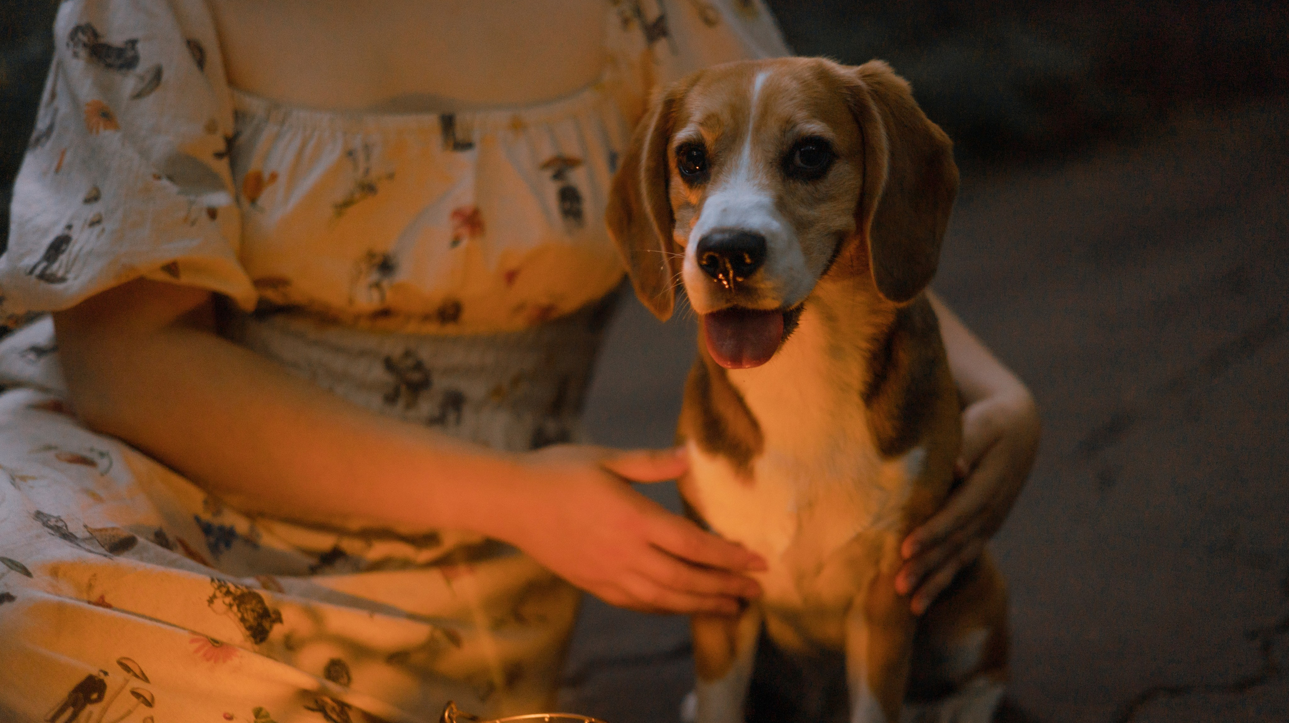 Лиза и Сара. Фотограф-анималист Богданова Полина