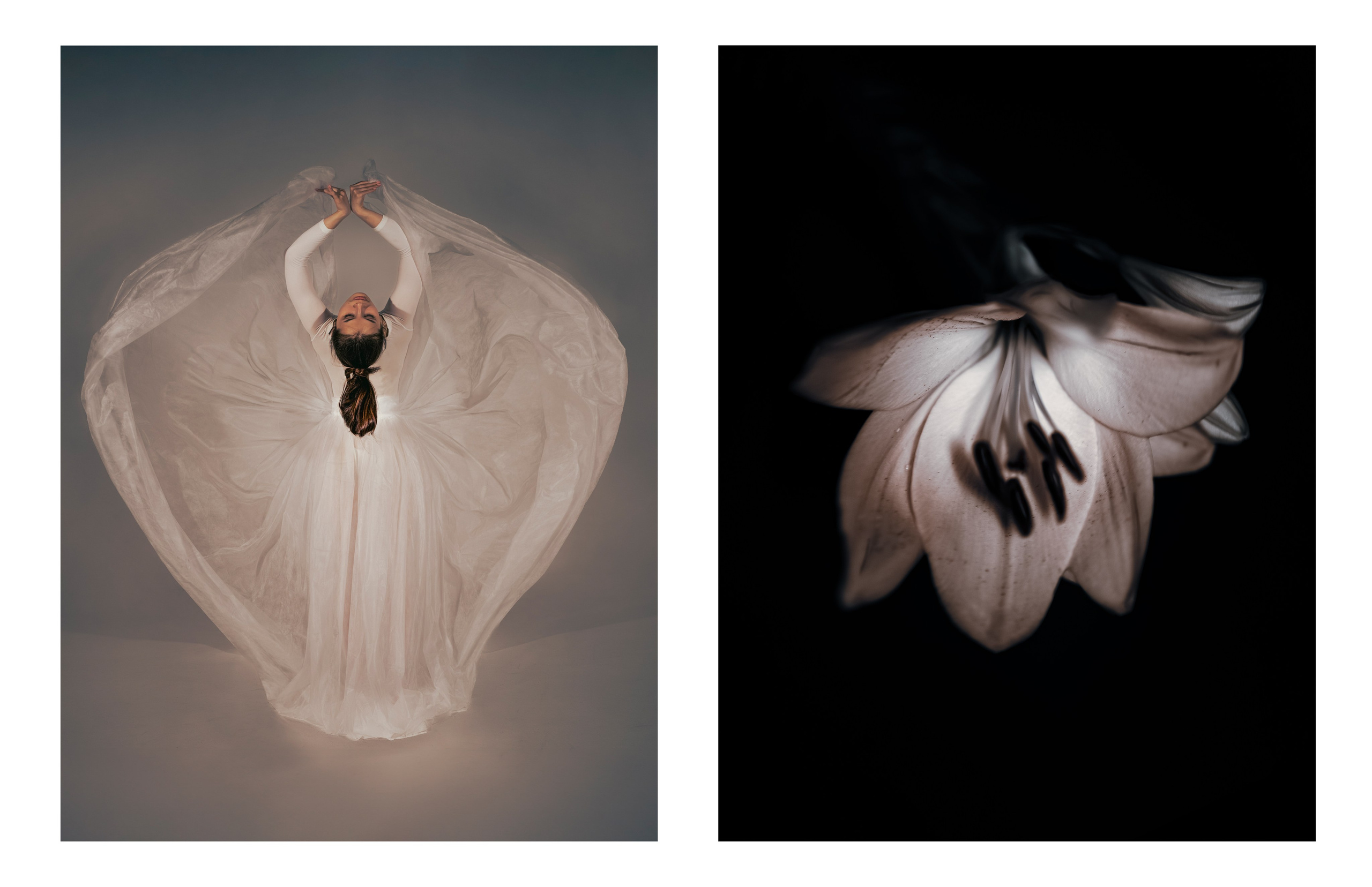 Портфолио. Творческий фотограф Ирина Баландина.  Санкт-Петербург, Мурманск