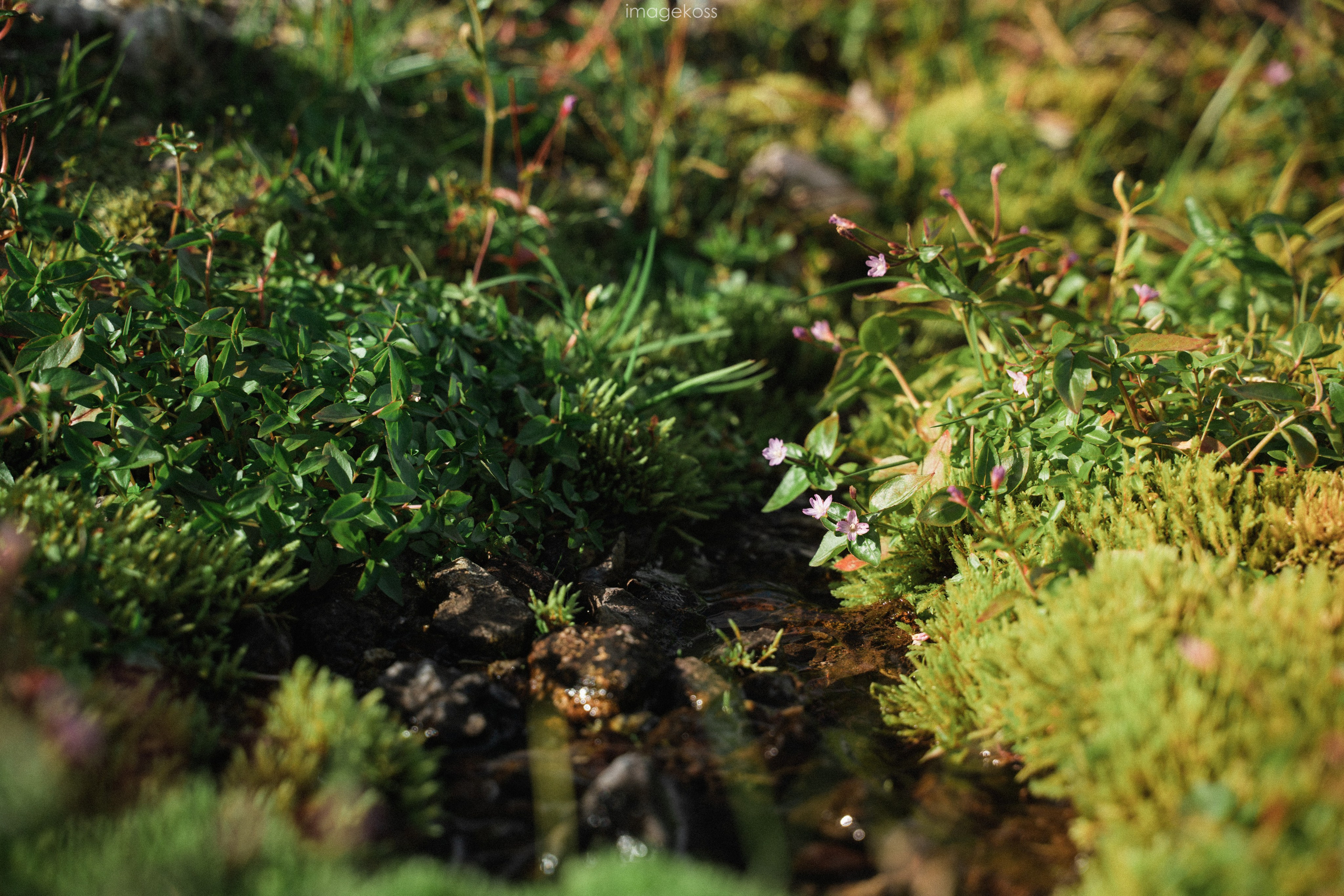 Камчатка. Фотограф в поход и восхождение на Эльбрус Игорь Косарев