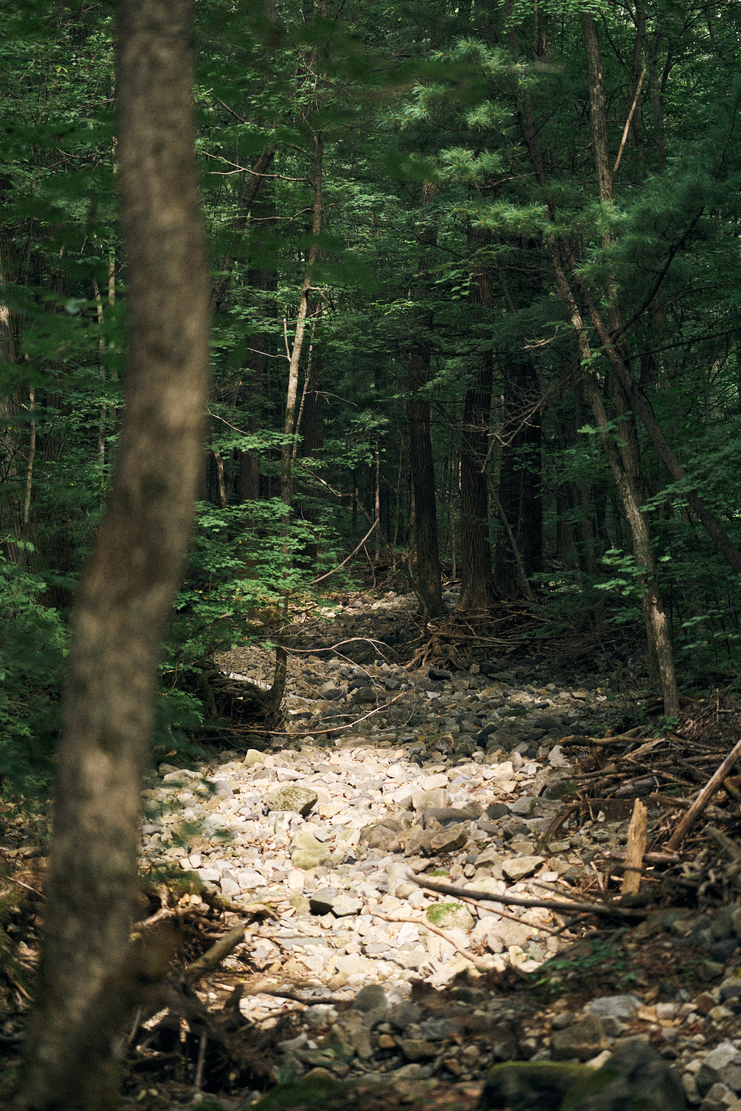 Фото поход на гору Пидан. Фэшн-фотография и портреты в Владивостоке. Превращаю съёмку в повествование — создаю образы с сюжетом, которые остаются в памяти