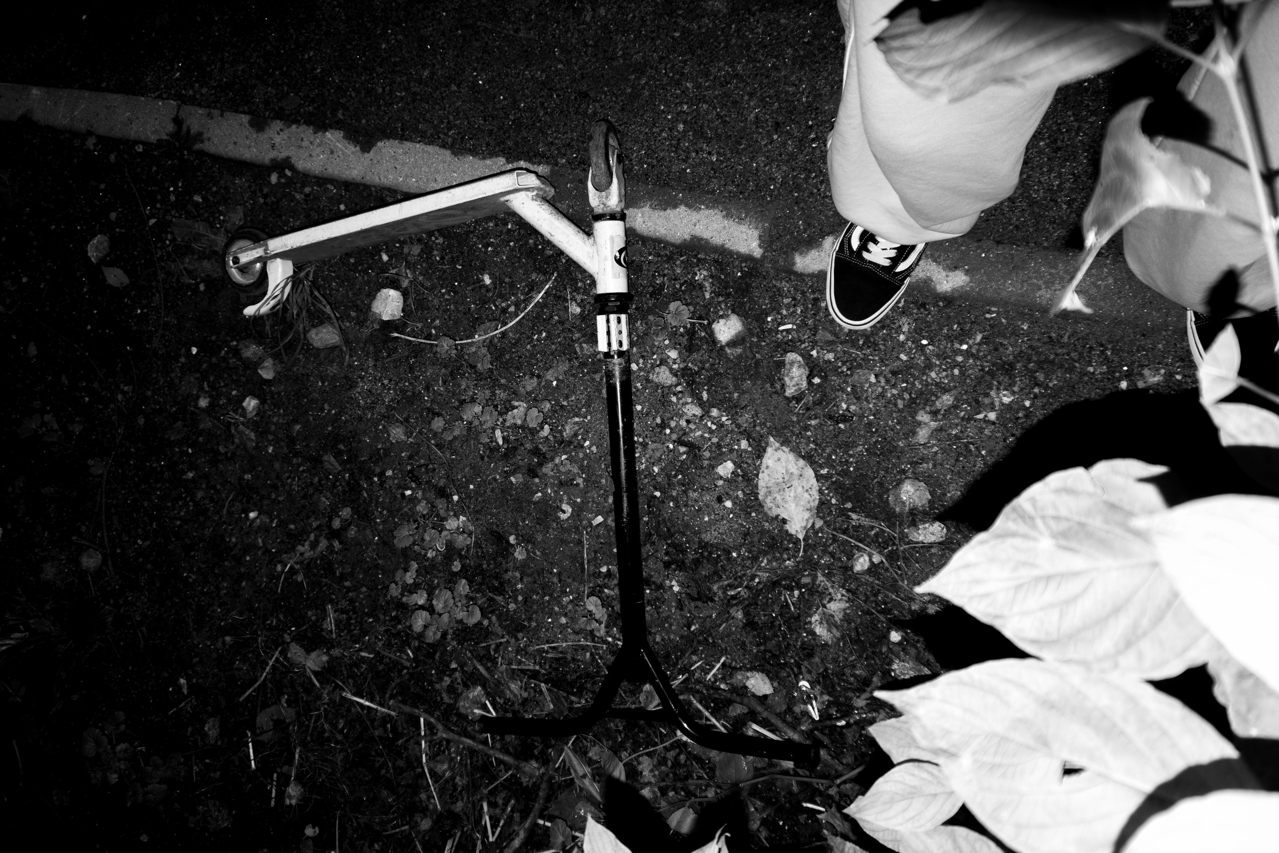 Blackwhite street. Фотограф Алёна Корнеева