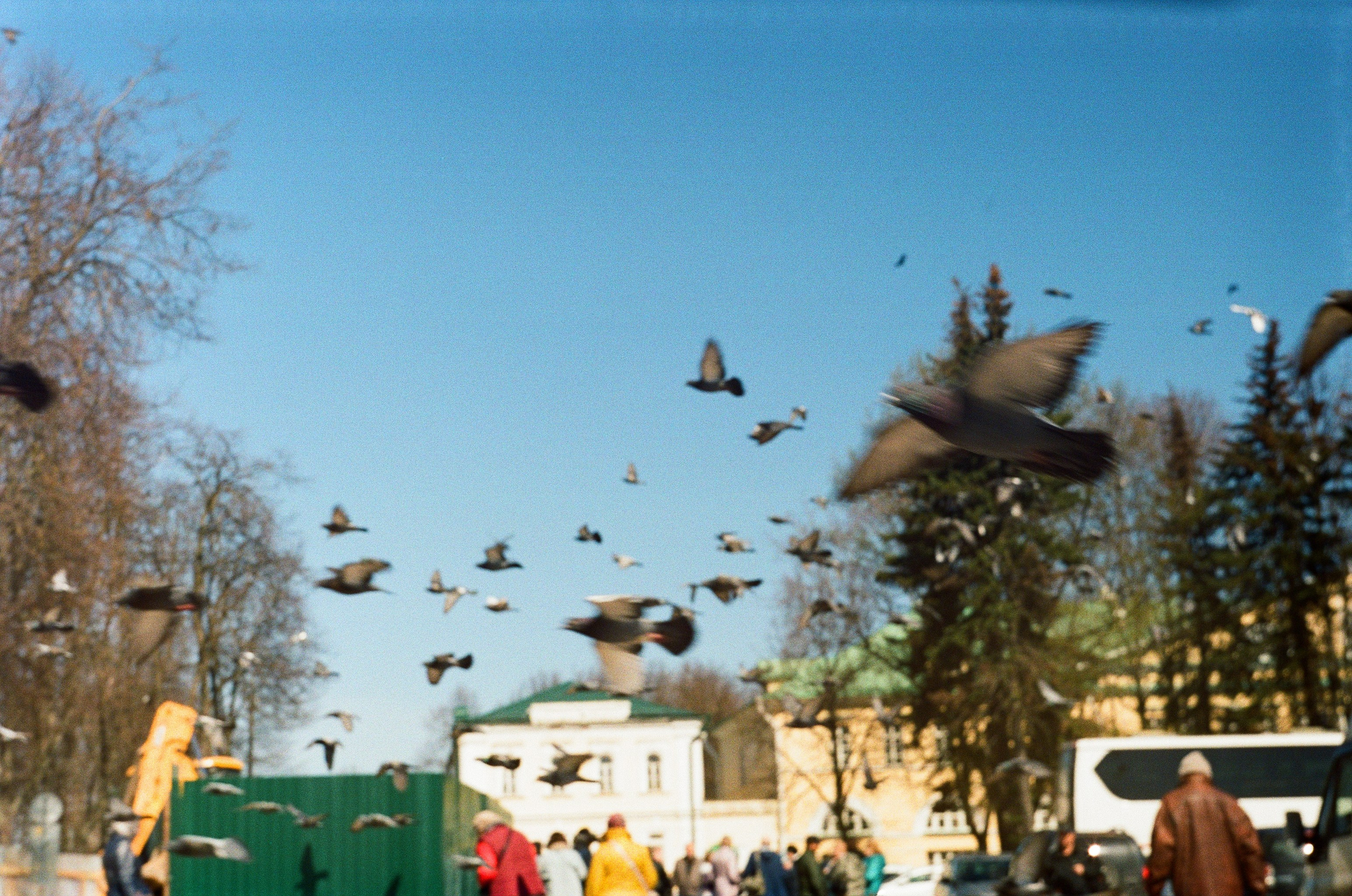 Пленка. Фотограф в Москве Наталья Новикова