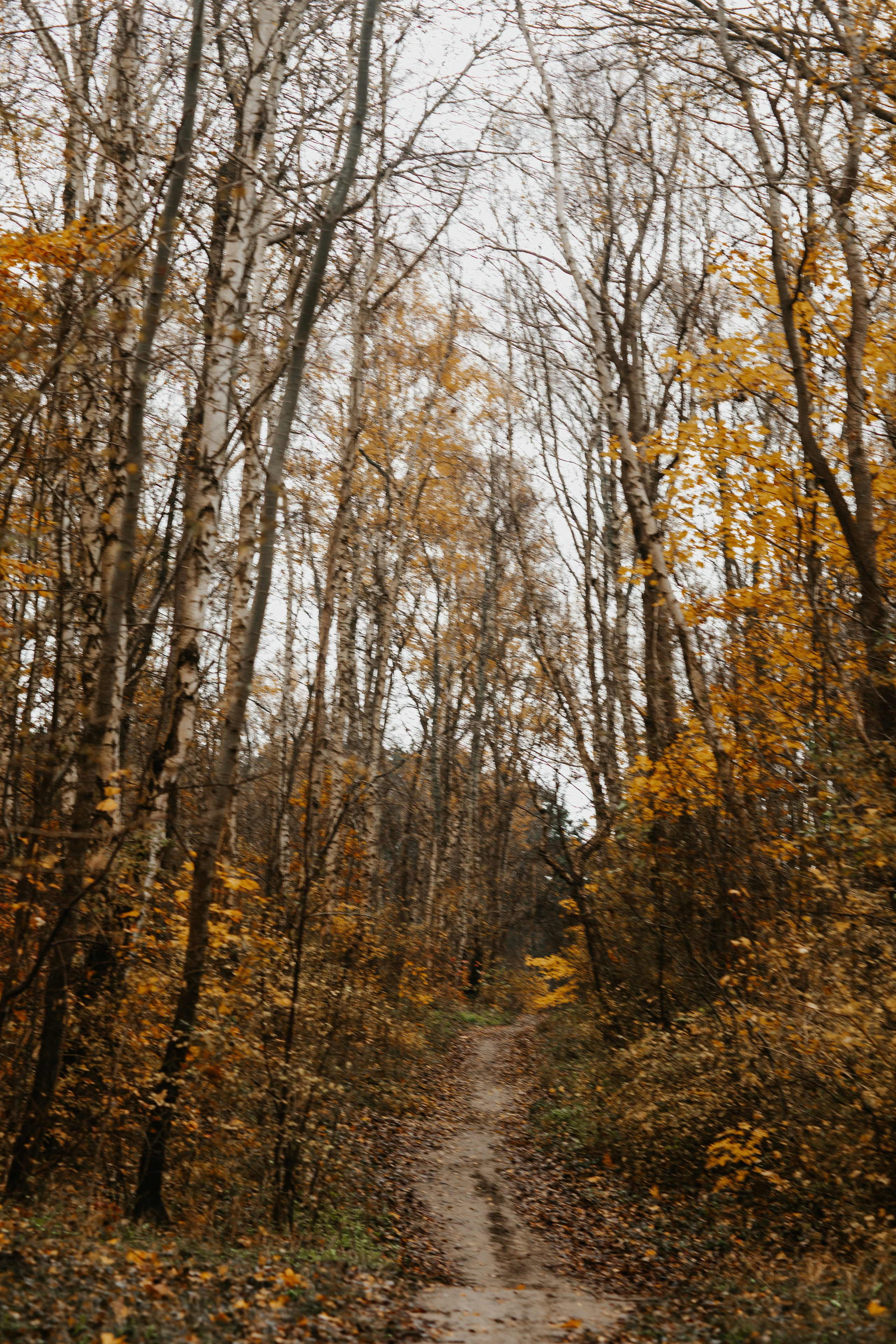 Балтийск/Калининград. Свадебный и семейный фотограф/видеограф в Краснодаре Наталья Осинская