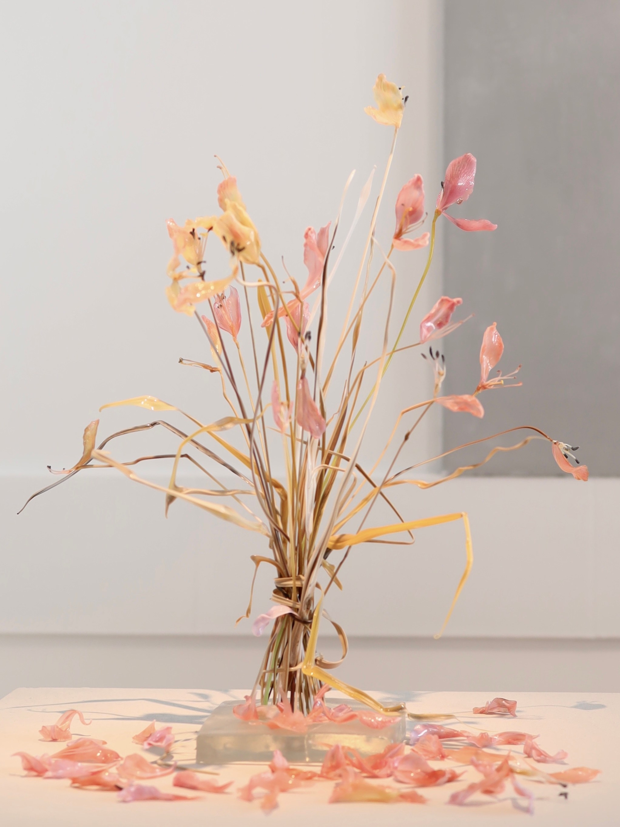 Выставка Степени прозрачности. Фотосессии и репортаж — Фотограф в Москве — Рина Серёгина