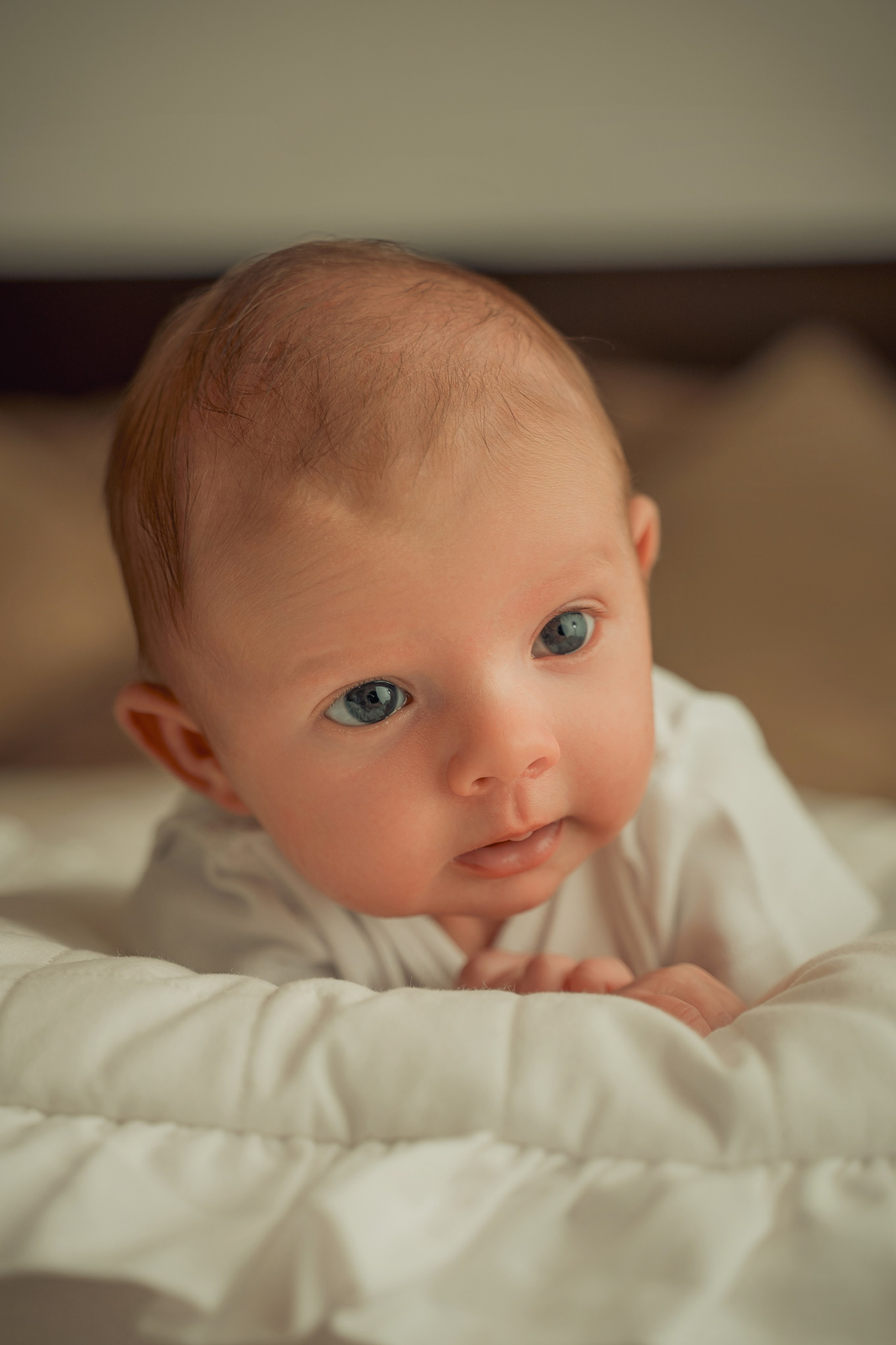 Пакет № 2 Оптимальный. Фотограф Москва Подольск МО