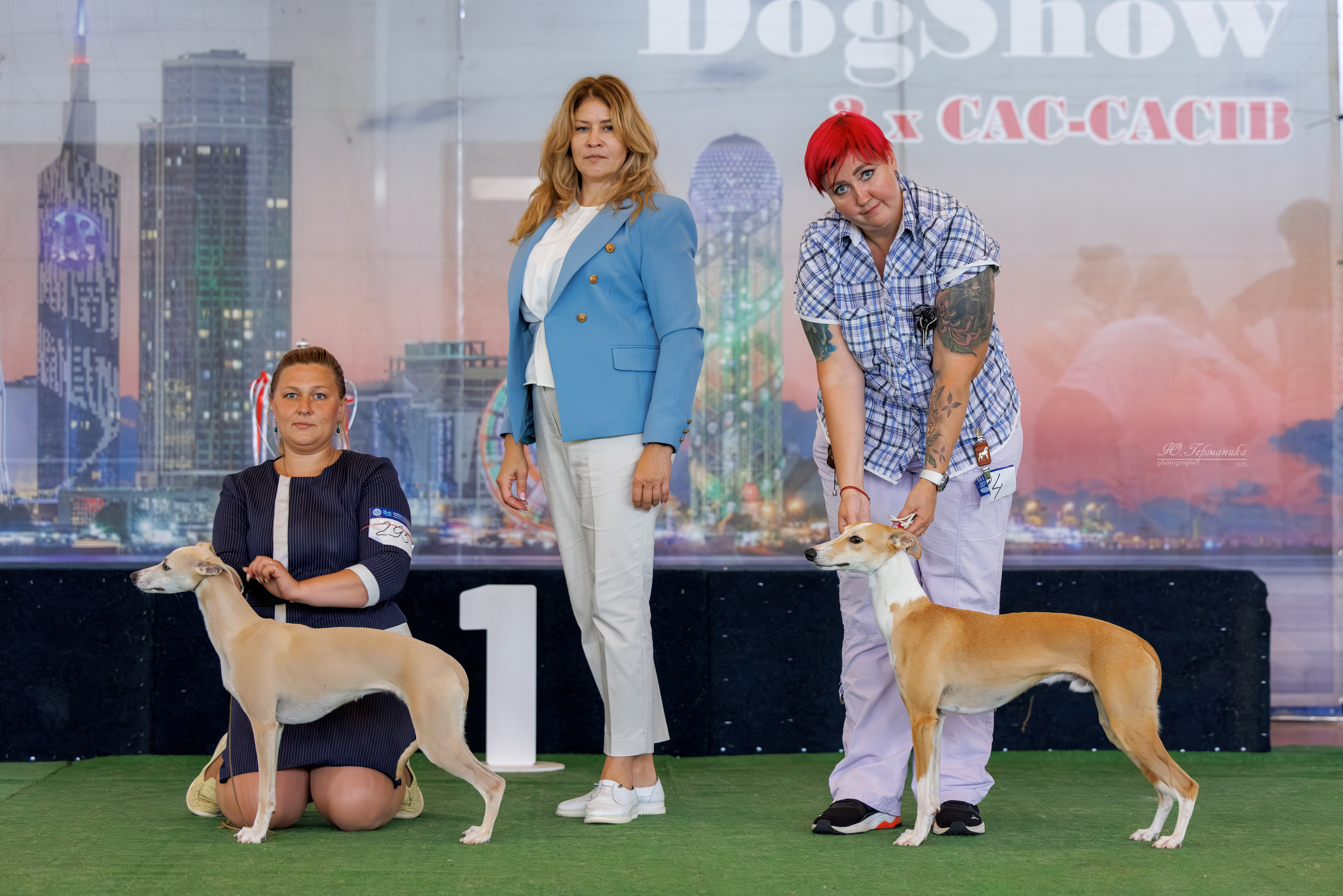 Батуми 3хCACIB 27-29.06.2025. Фотограф-анималист Юлия Германика