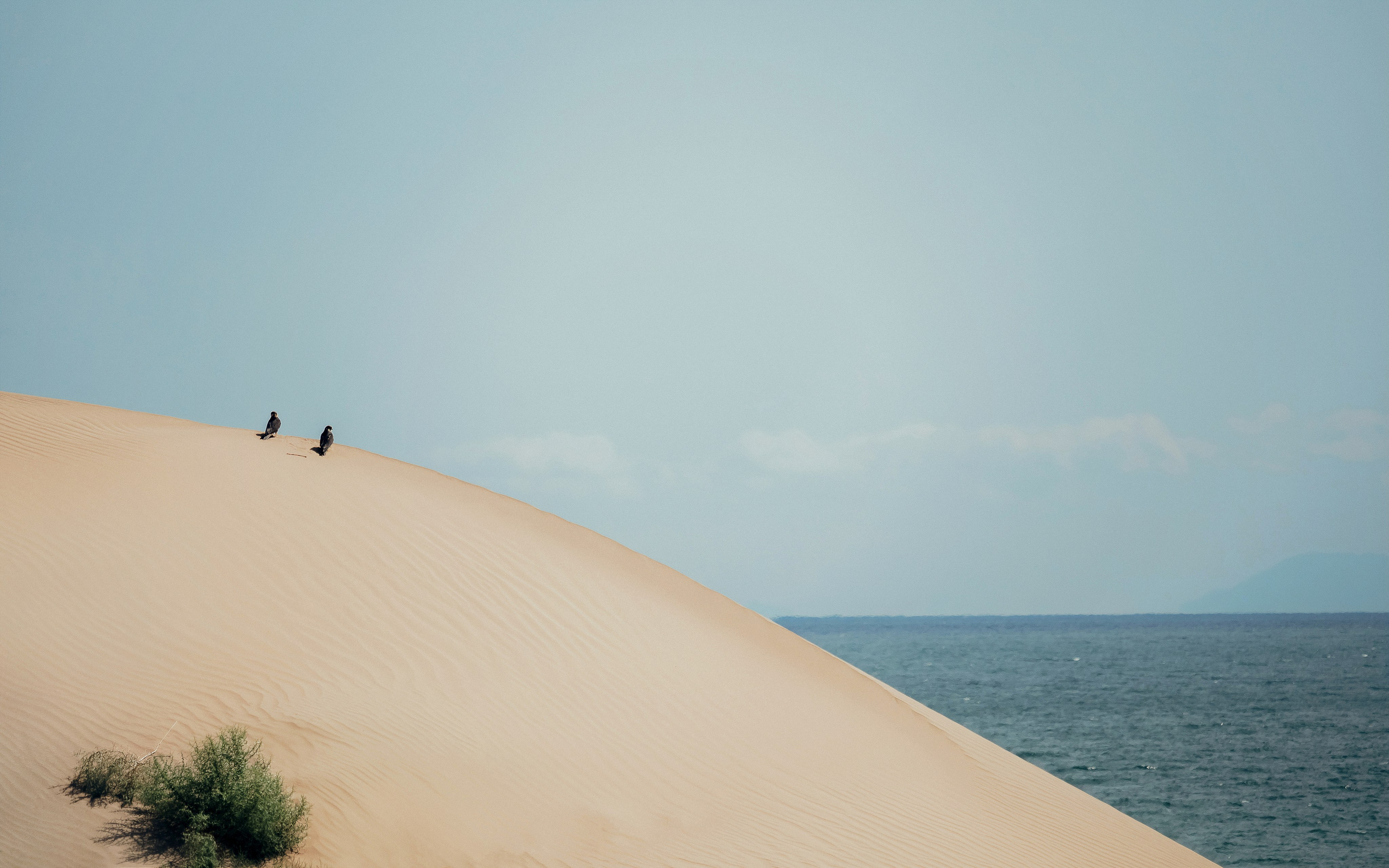 Жизнь. Фотограф Алматы | Весь мир — Никита Колодин