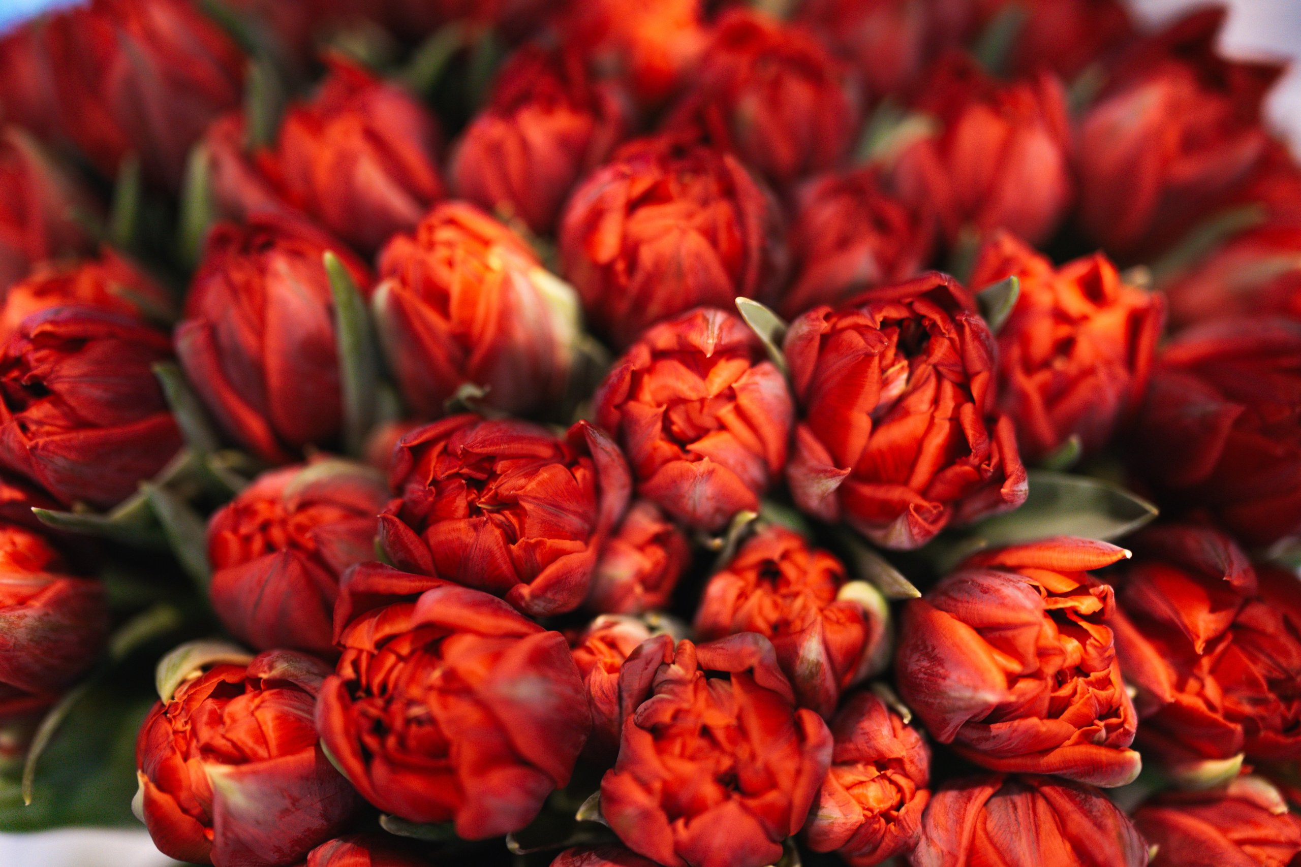 Пасха. Свадебный фотограф в Москве Кристина Чехова