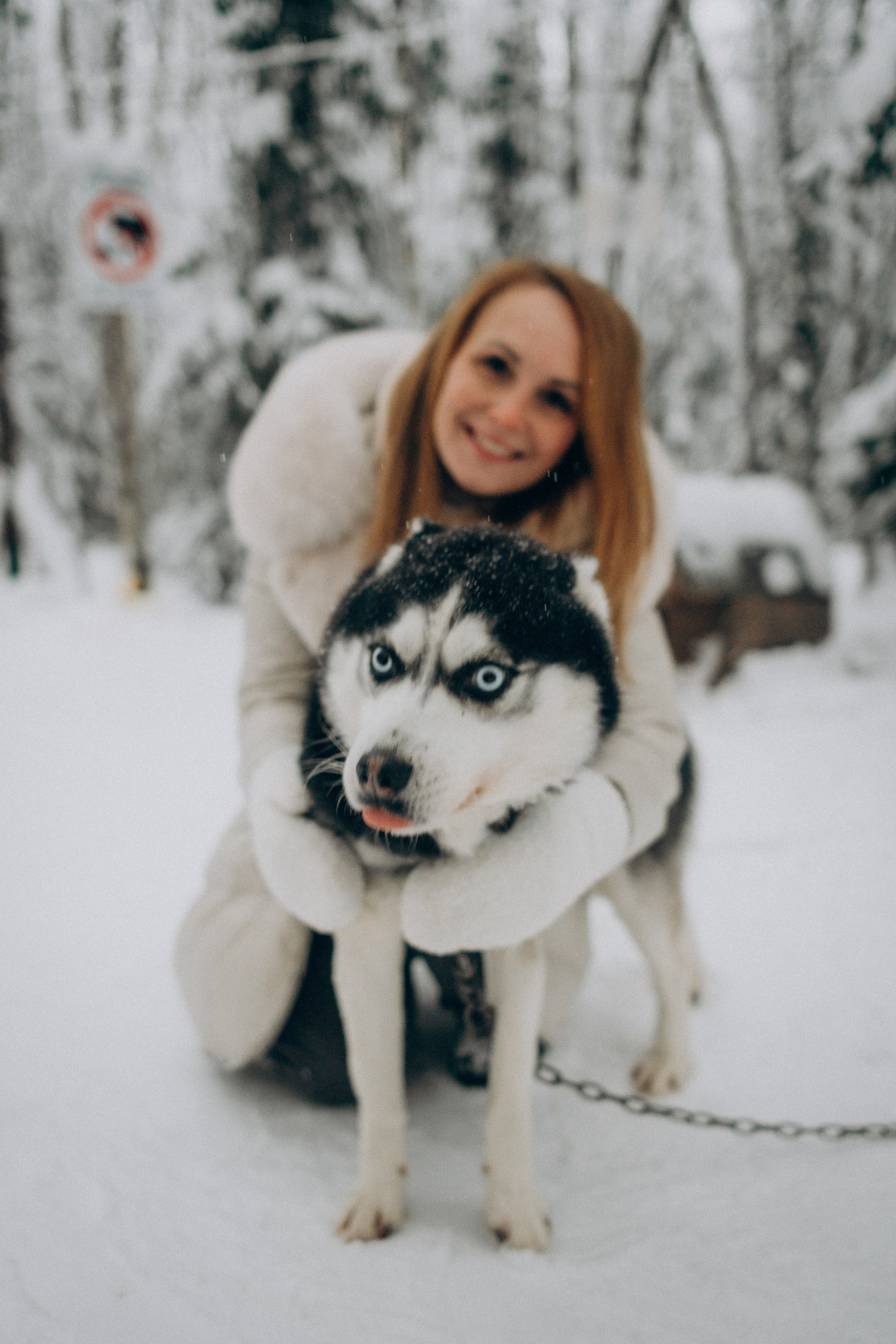 Хаски-терапия. Фотограф Наталья Могилевская Мурманск Териберка Сейдозеро Рыбачий