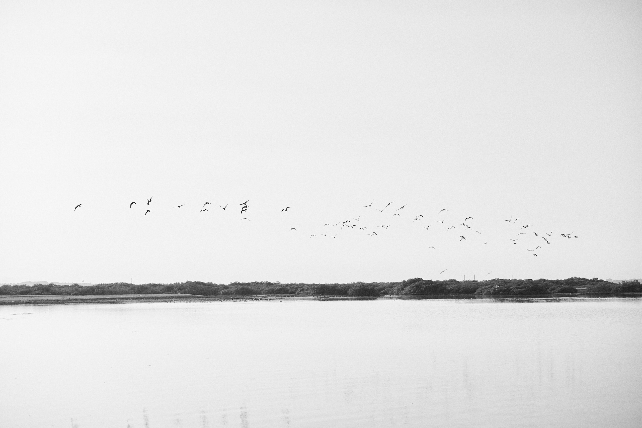 Другое 3. Jorgis Talè — photographer, kind person, teacher of arts and other mag