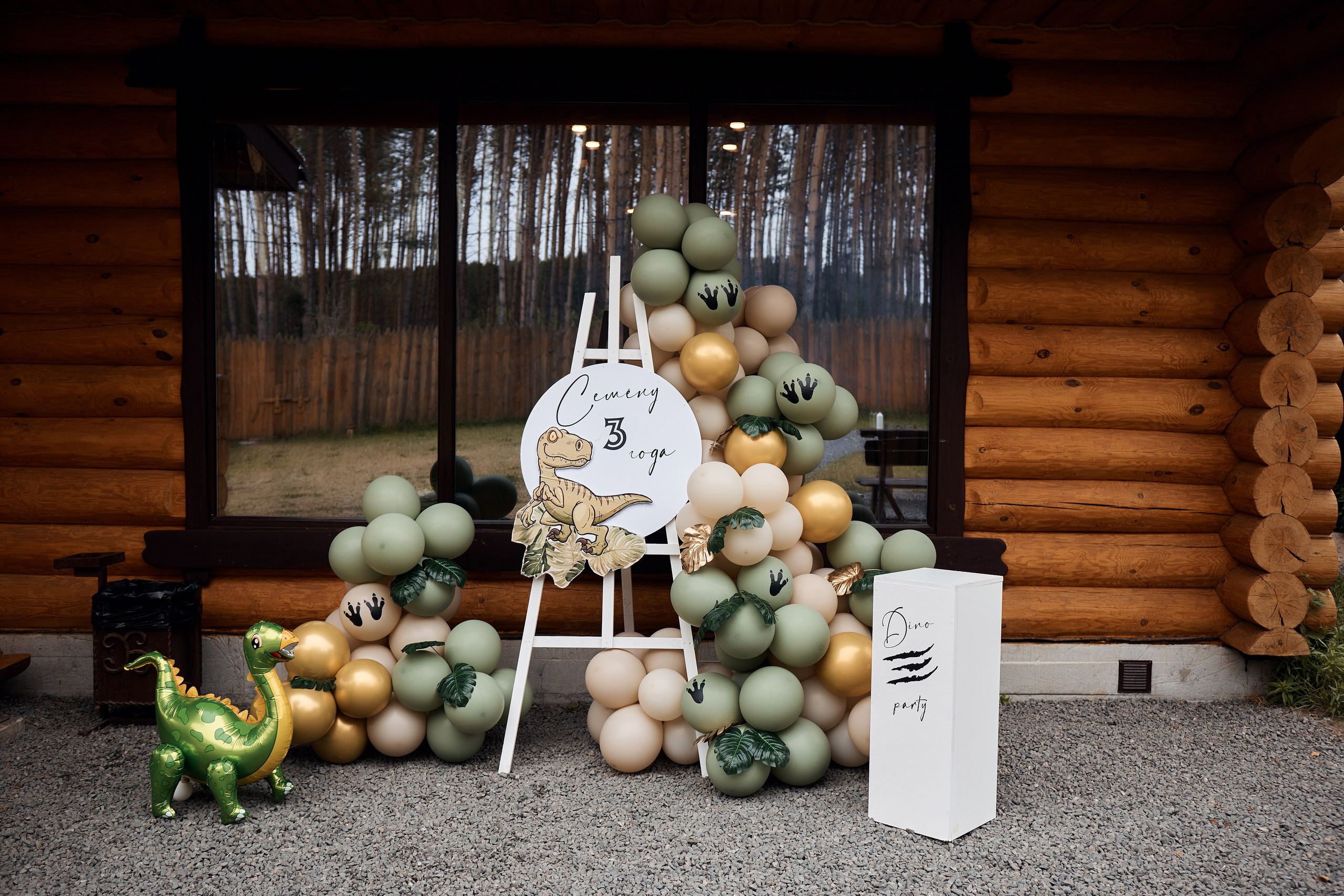 Дино-праздник. Детский и семейный фотограф Шемарова Ольга