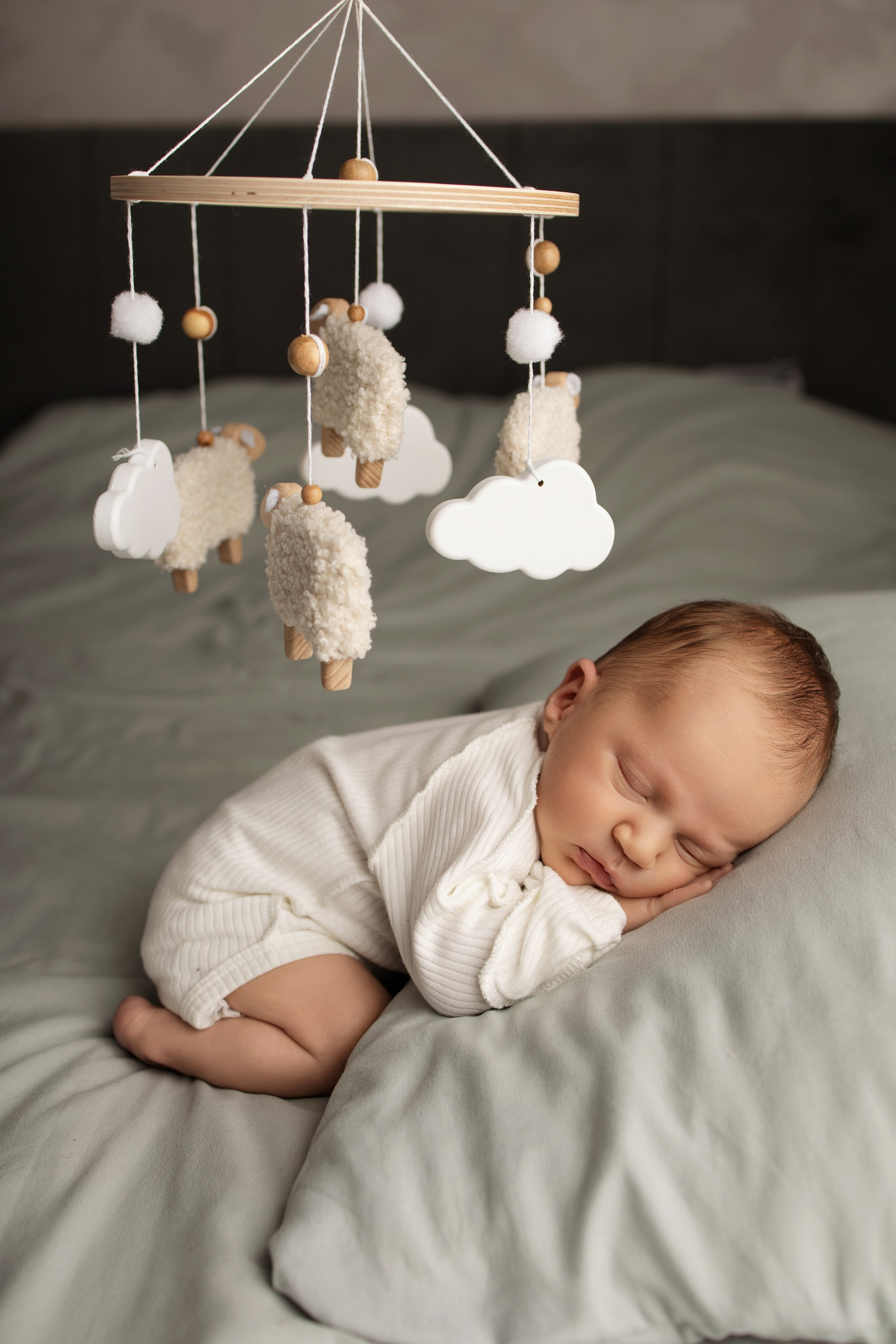 Лев 18 дней. Фотограф новорождённых Newborn Москва