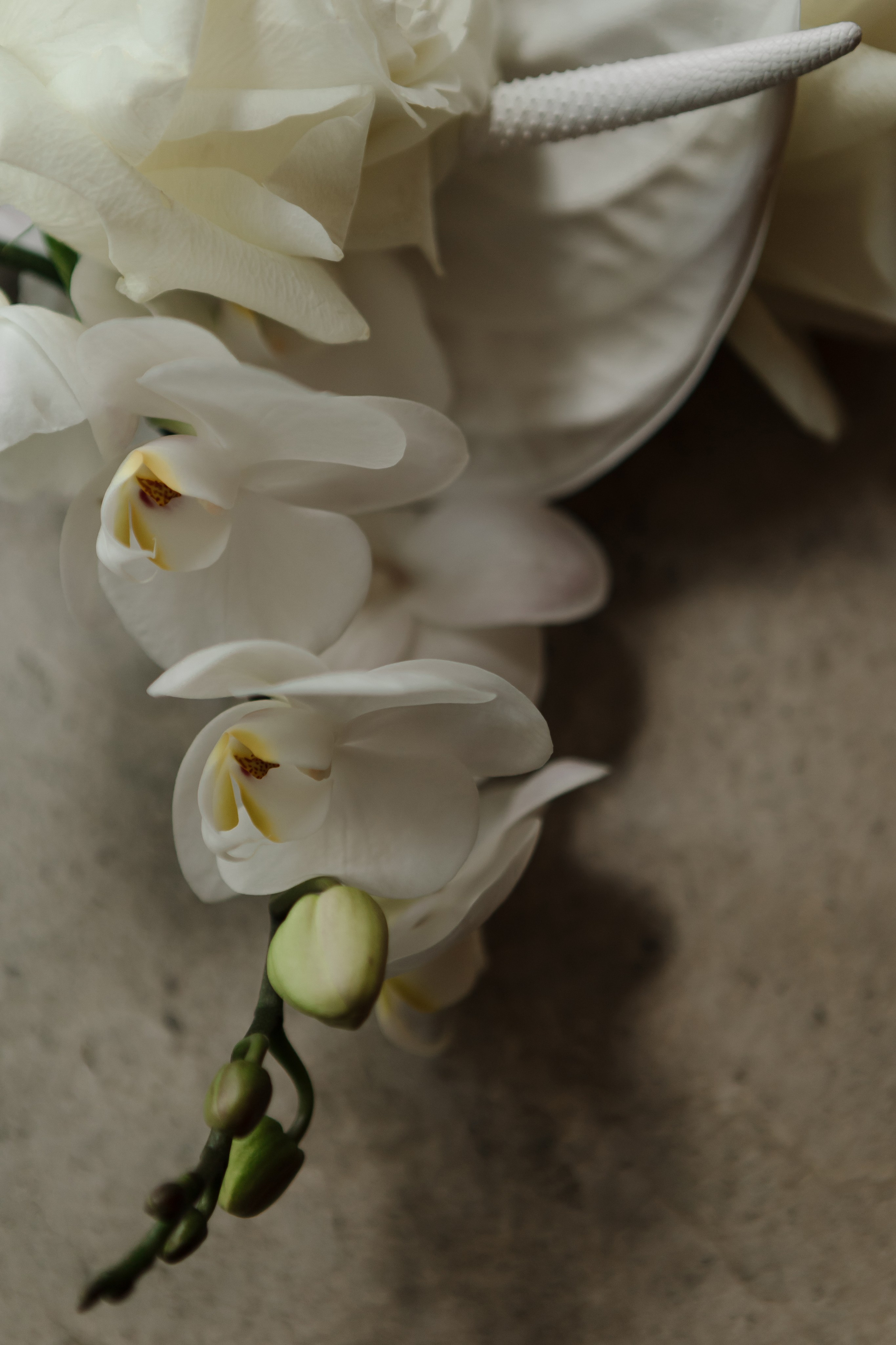 Свадьба Антона и Виктории. Фотограф Кольчугино/Владимир/Москва Елизавета Иода