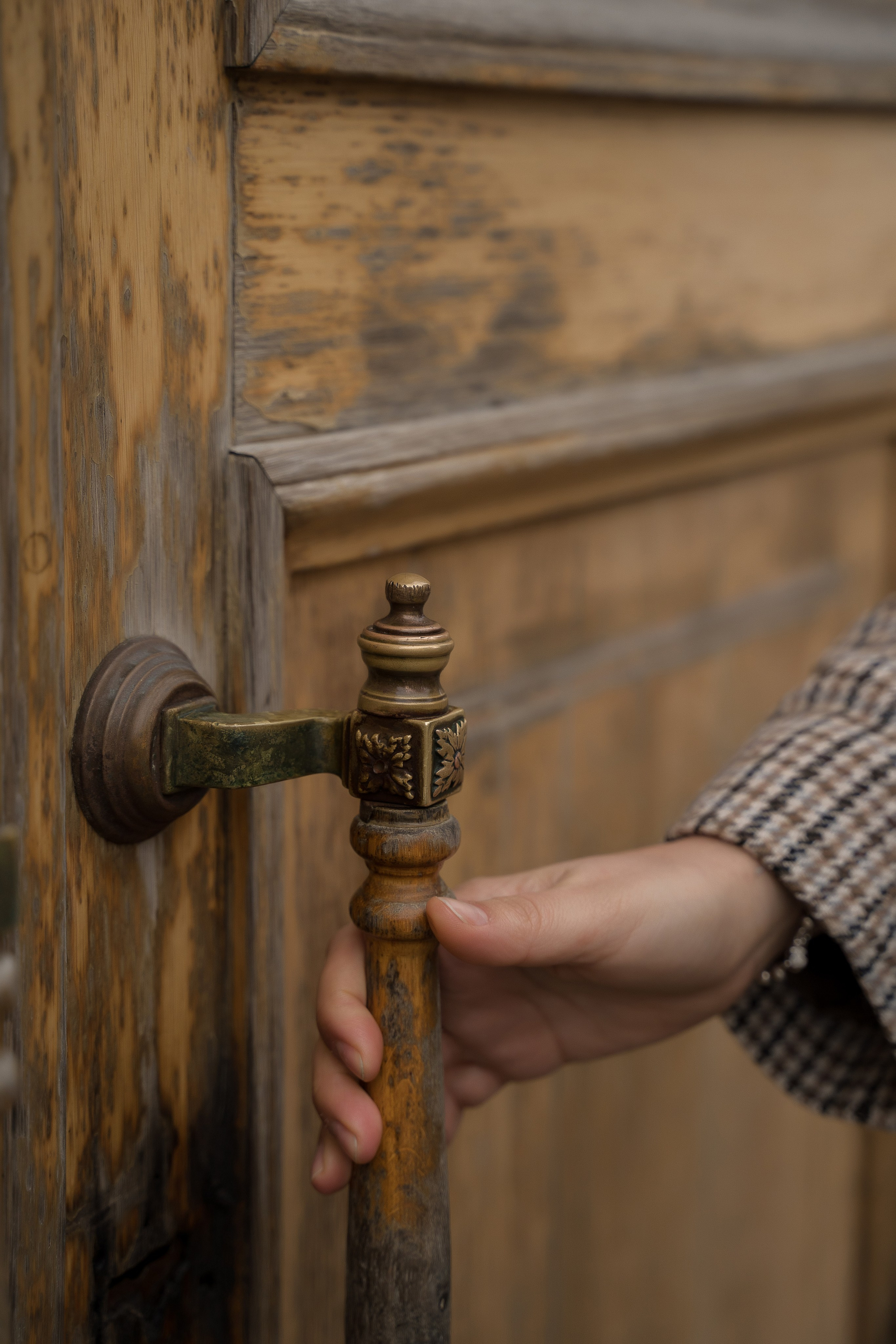 Елена. Свадебный и семейный фотограф в Пушкине и Санкт-Петербурге Мария Филиппова