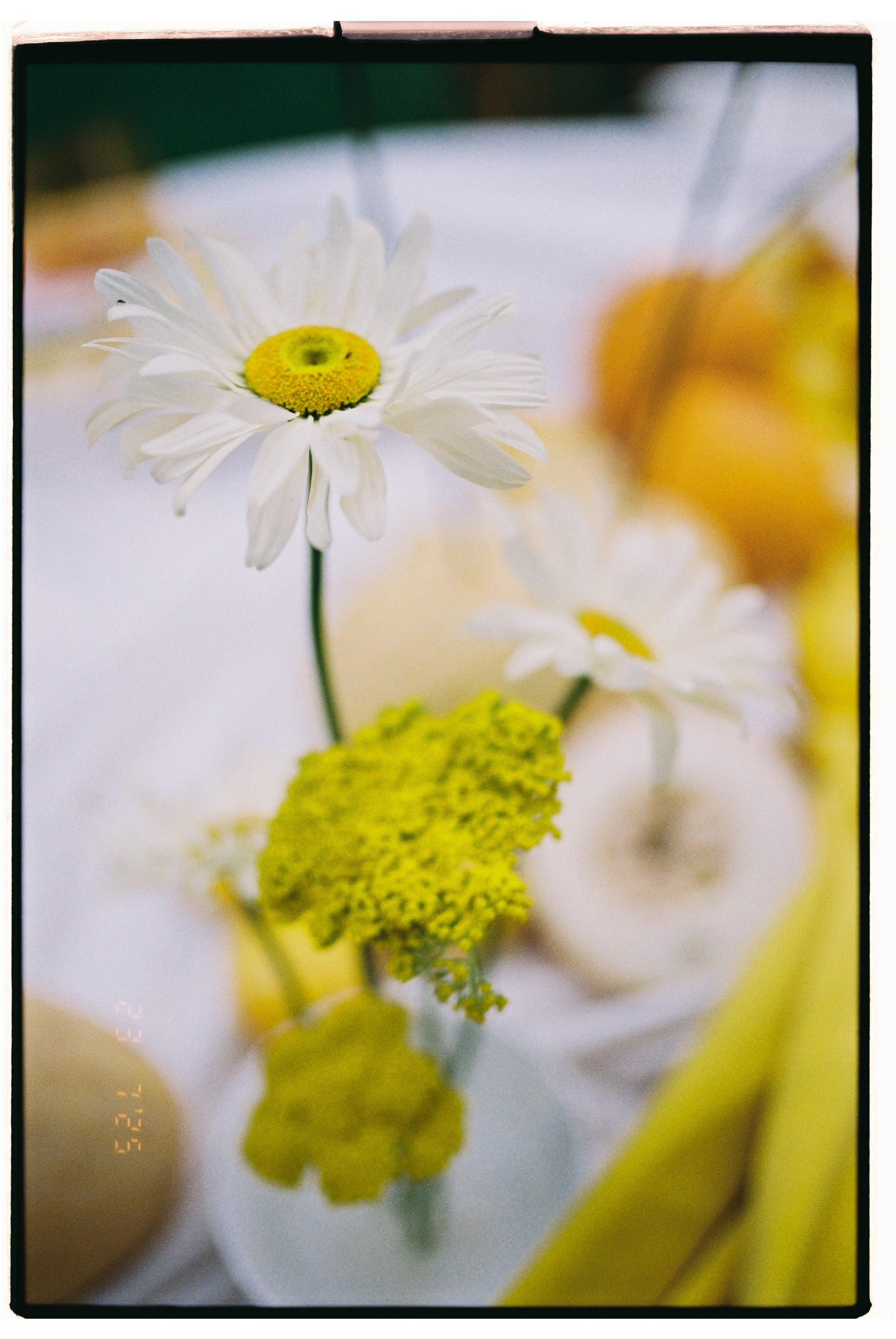 Артем и Полина. Свадебный фотограф в Москве Евгений Рыжов