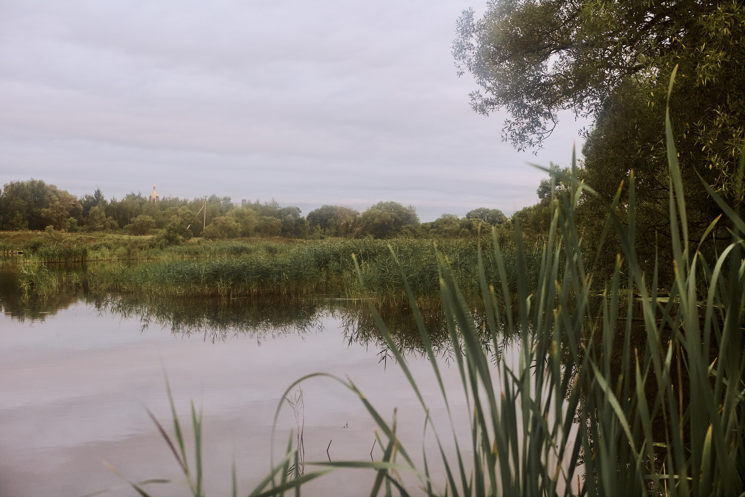 Индивидуальная фотосессия на природе. Портретный фотограф Калагина Светлана