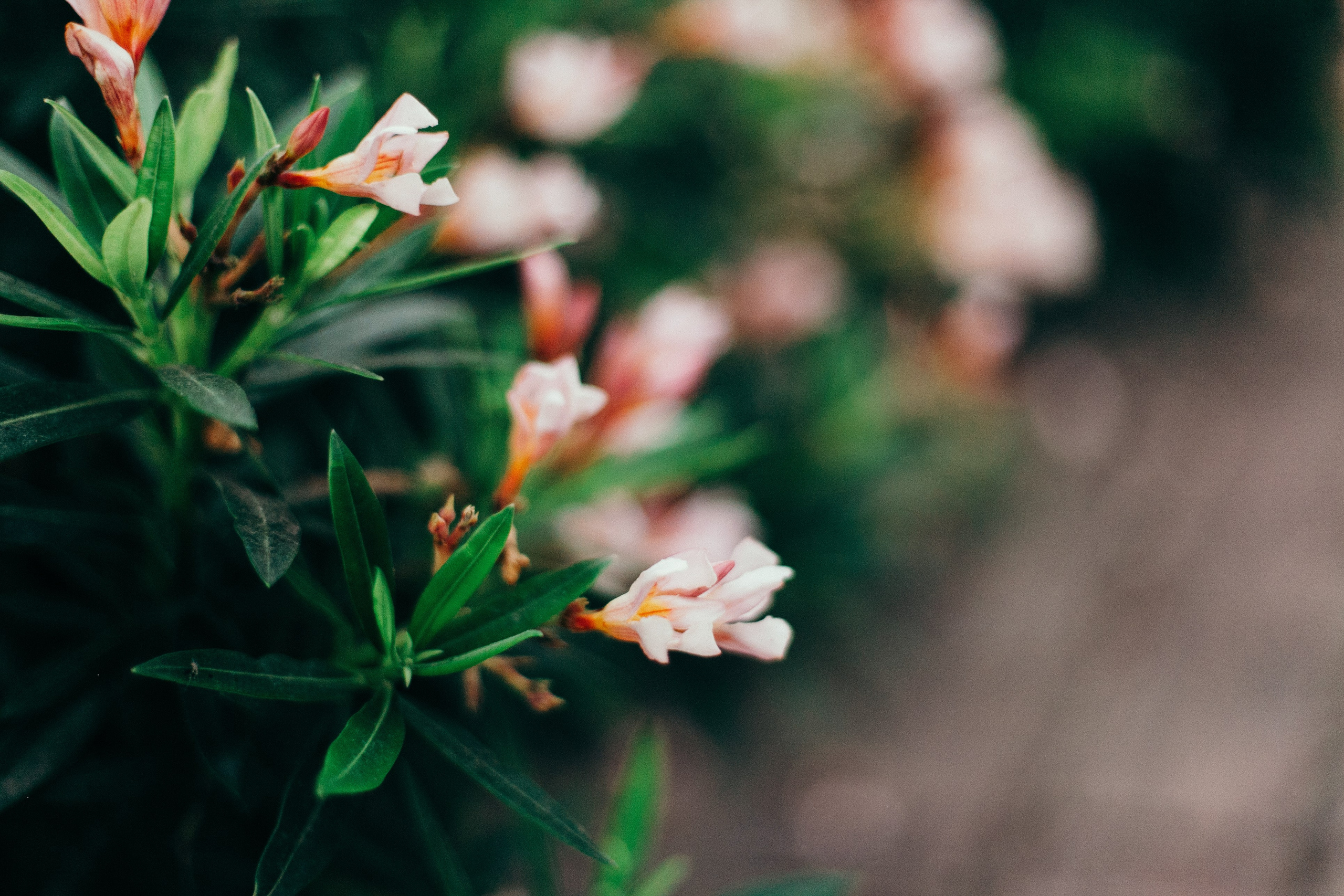 Малага. Аня Степанова