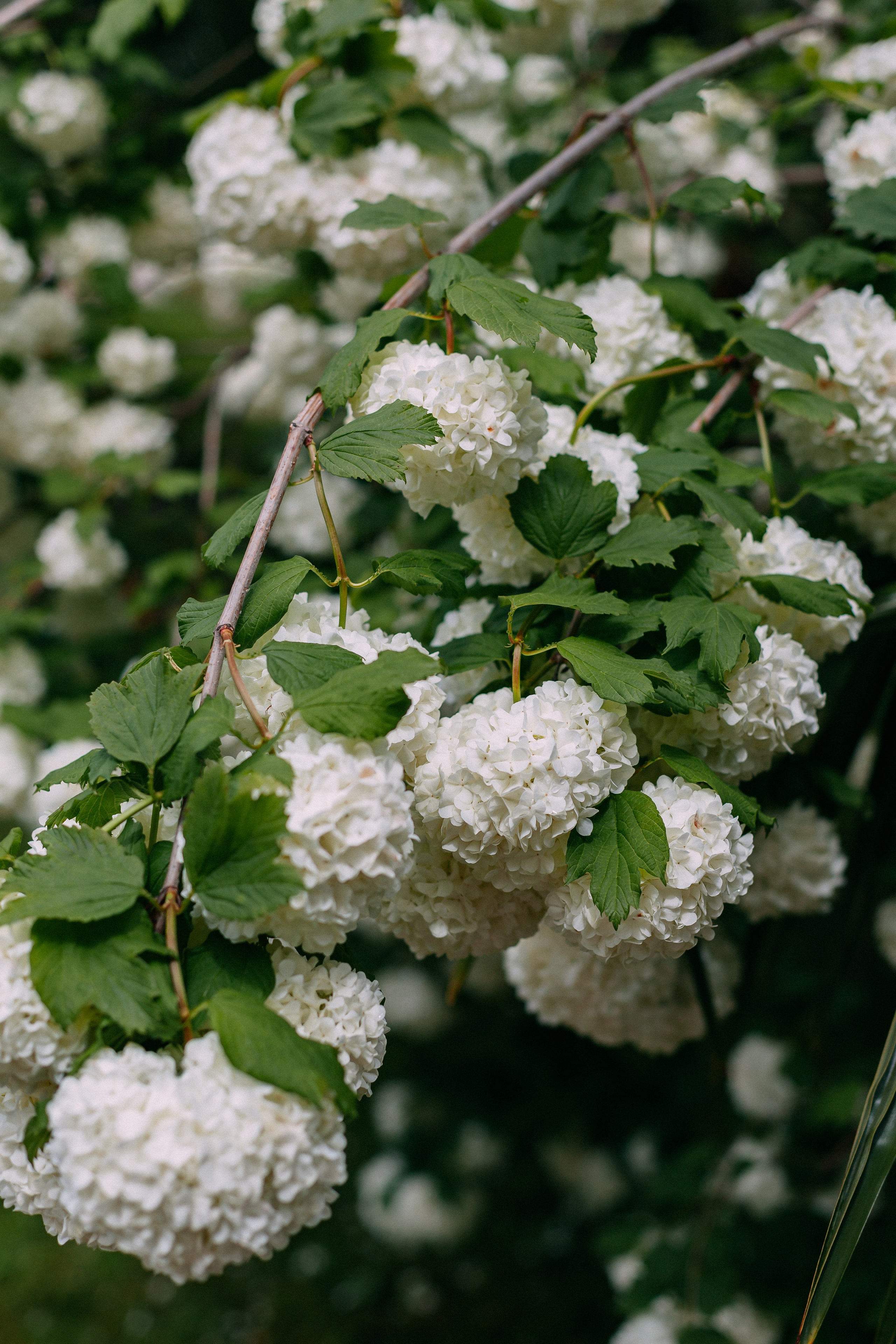 Сочи. Аня Степанова