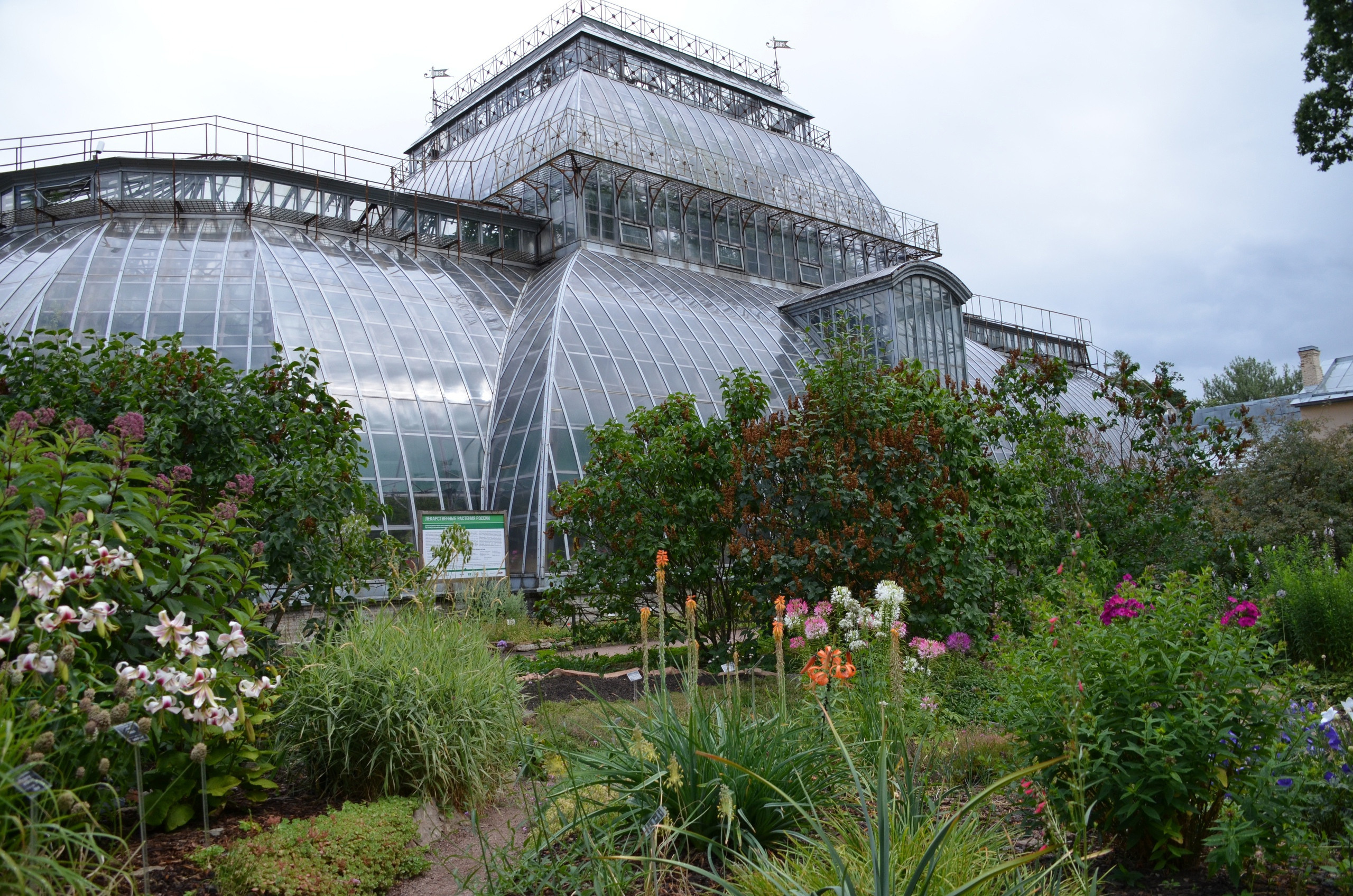 Зелёные локации для фотосъёмок в Санкт-Петербурге