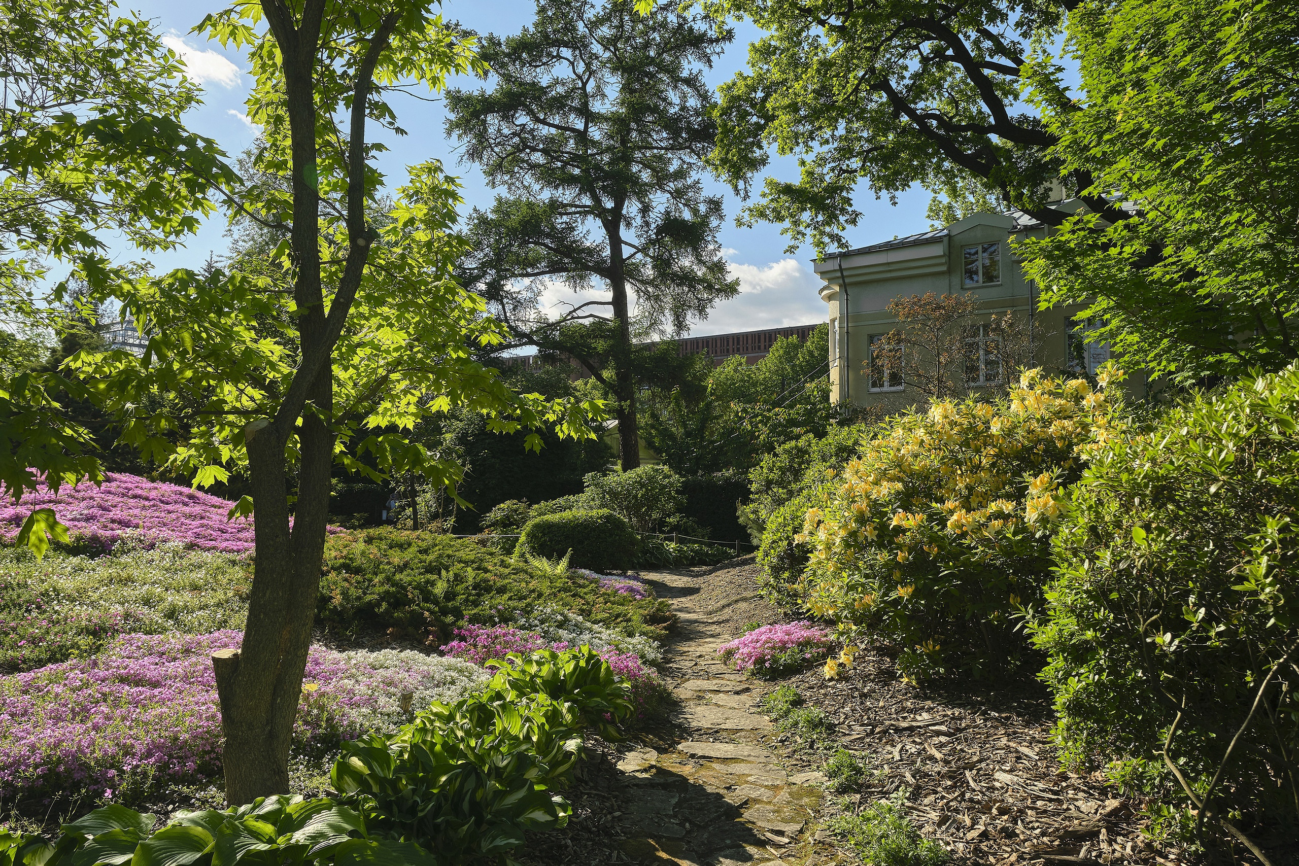 Зелёные локации для фотосъёмок в Санкт-Петербурге