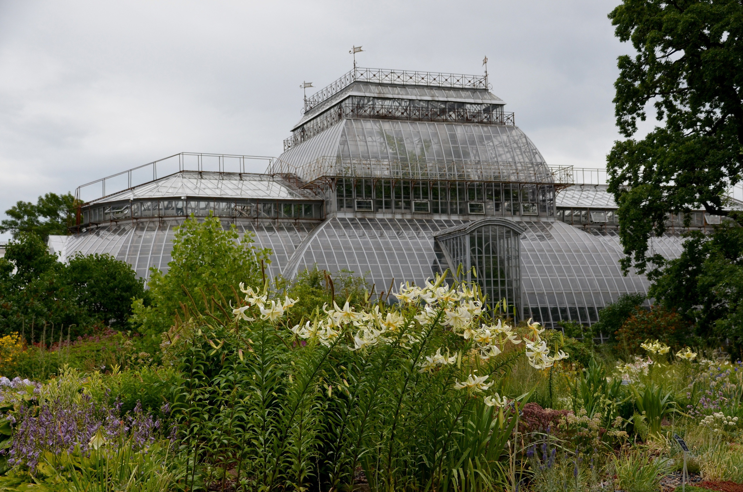 Зелёные локации для фотосъёмок в Санкт-Петербурге