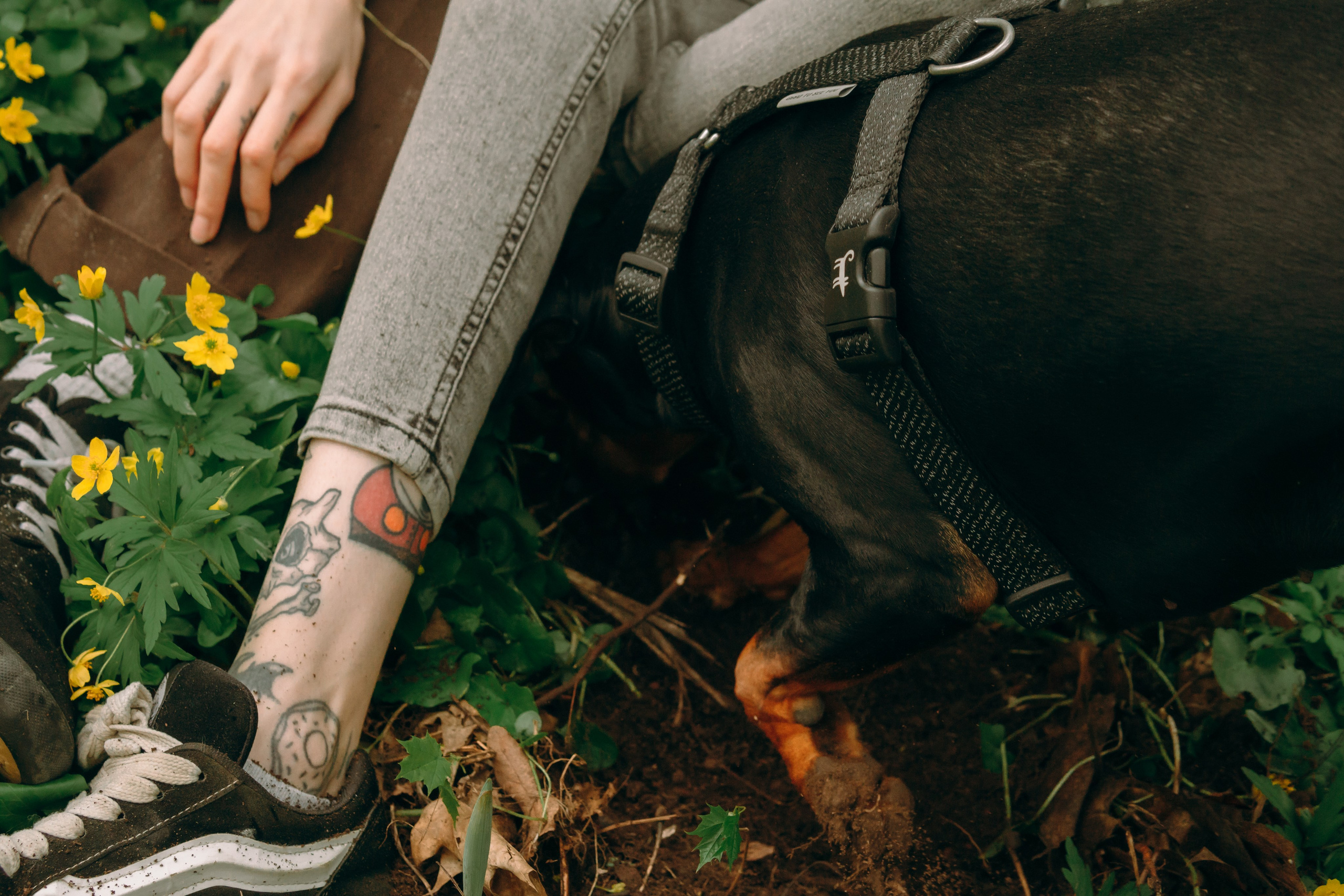 Кира, Максим и Аскара. Фотограф-анималист Ксения Воробьева, Москва