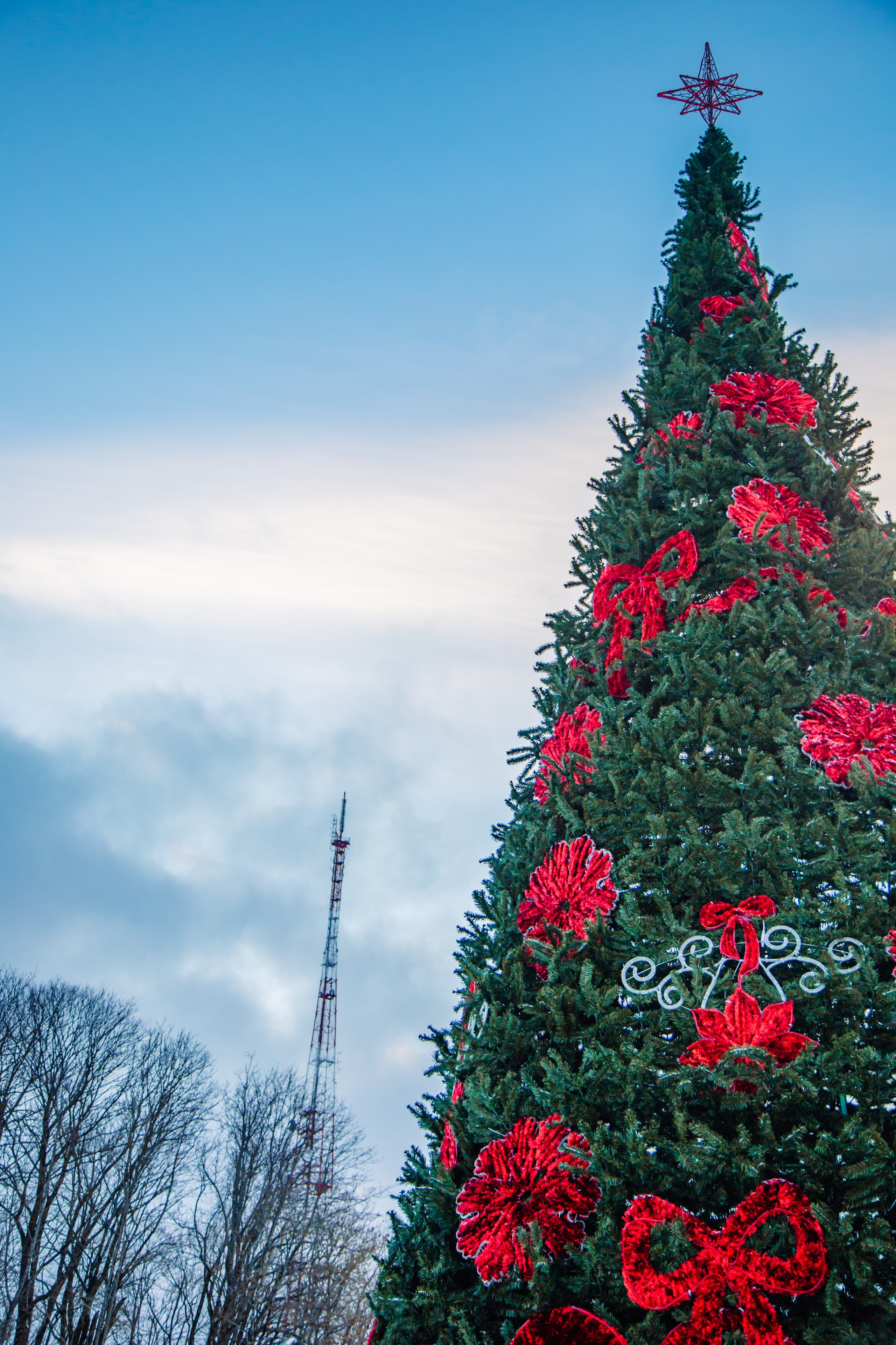 Стрит 2023-2024. KiPPER Gallery — Фотограф