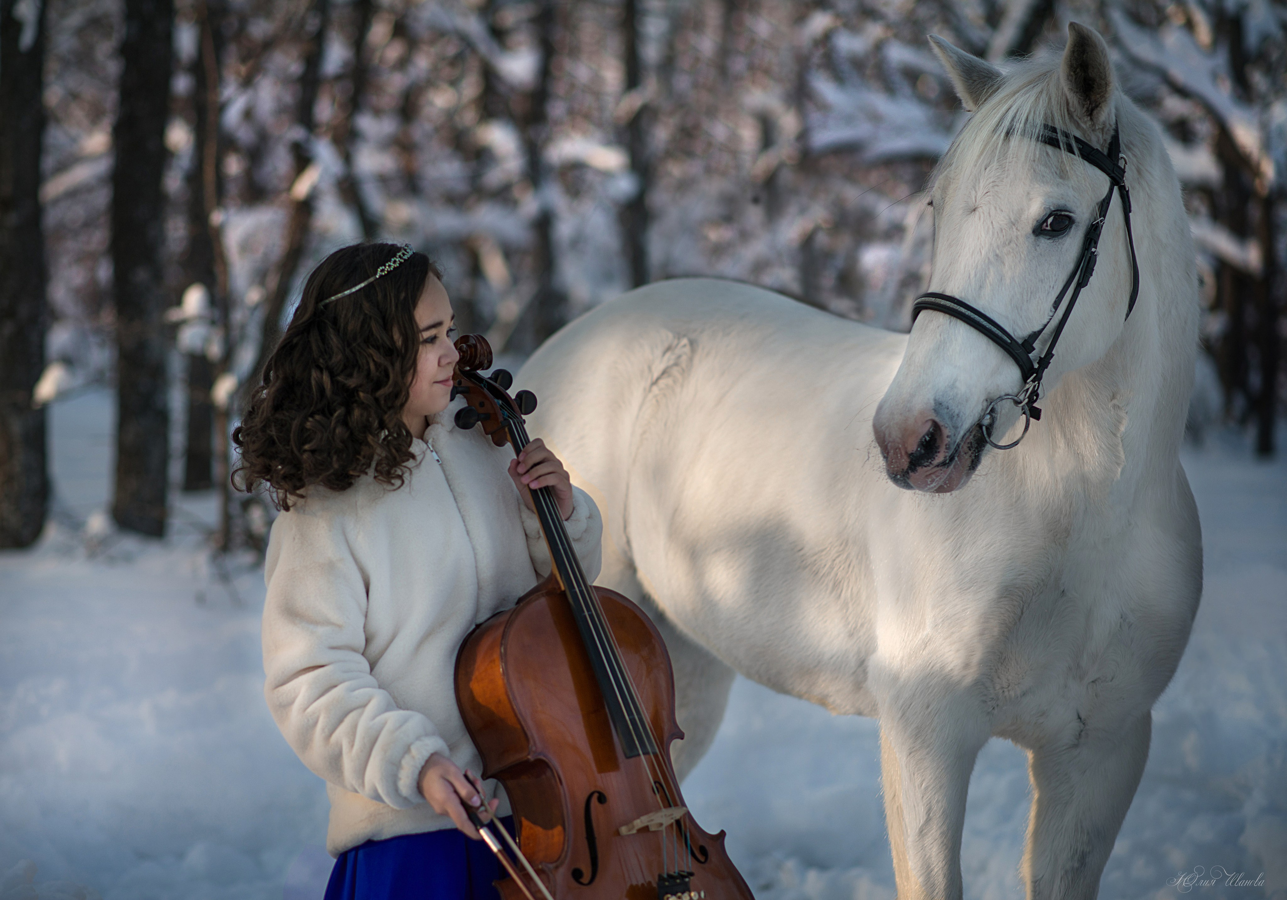 Фотодень с  Каспийцем. Конный фотограф в Саратове Юлия Иванова