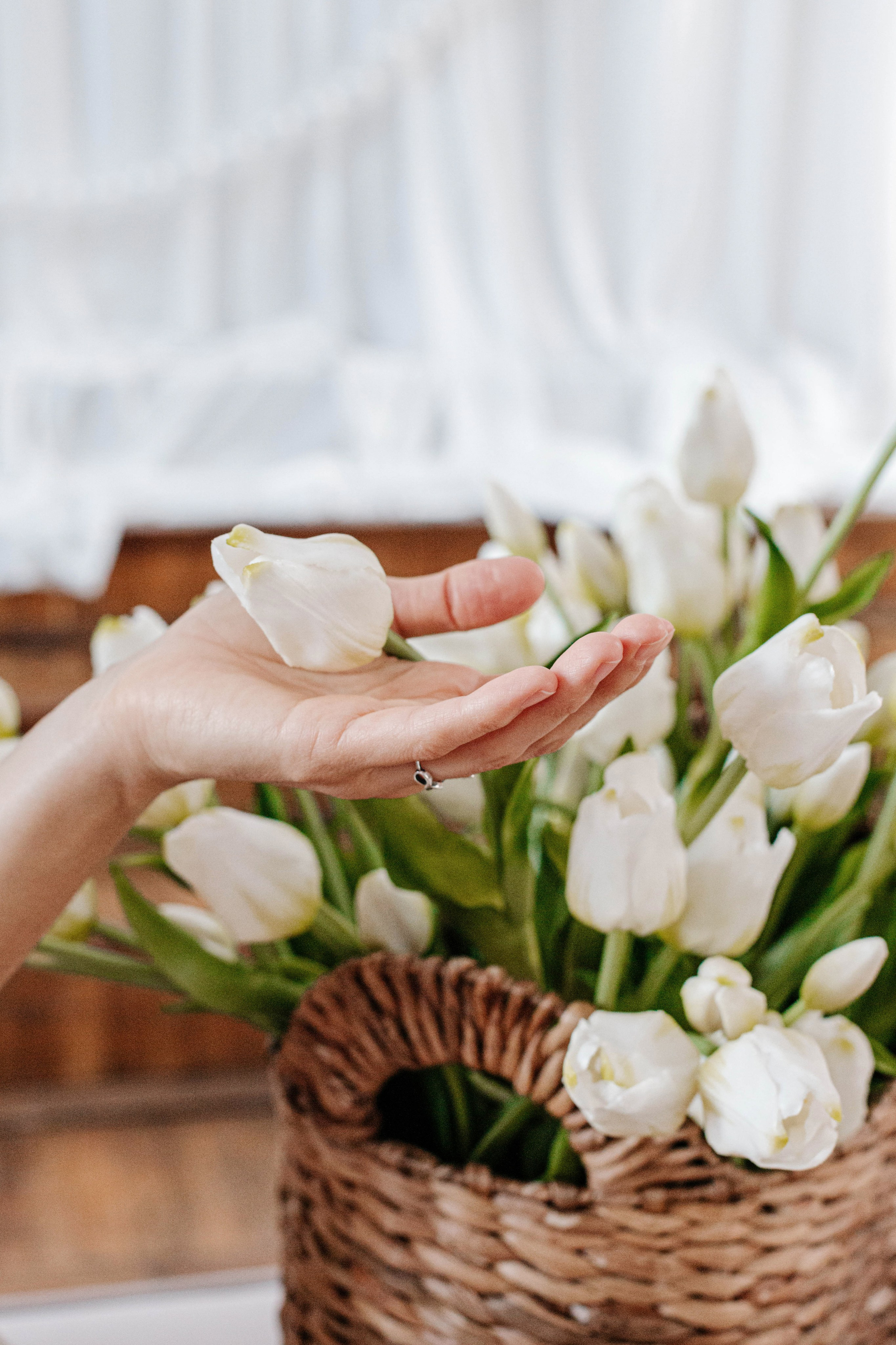 Надежда, Вероника, Юлия (Три Мисс Весны). Семейный и свадебный фотограф в Воронеже Майя Добровольская