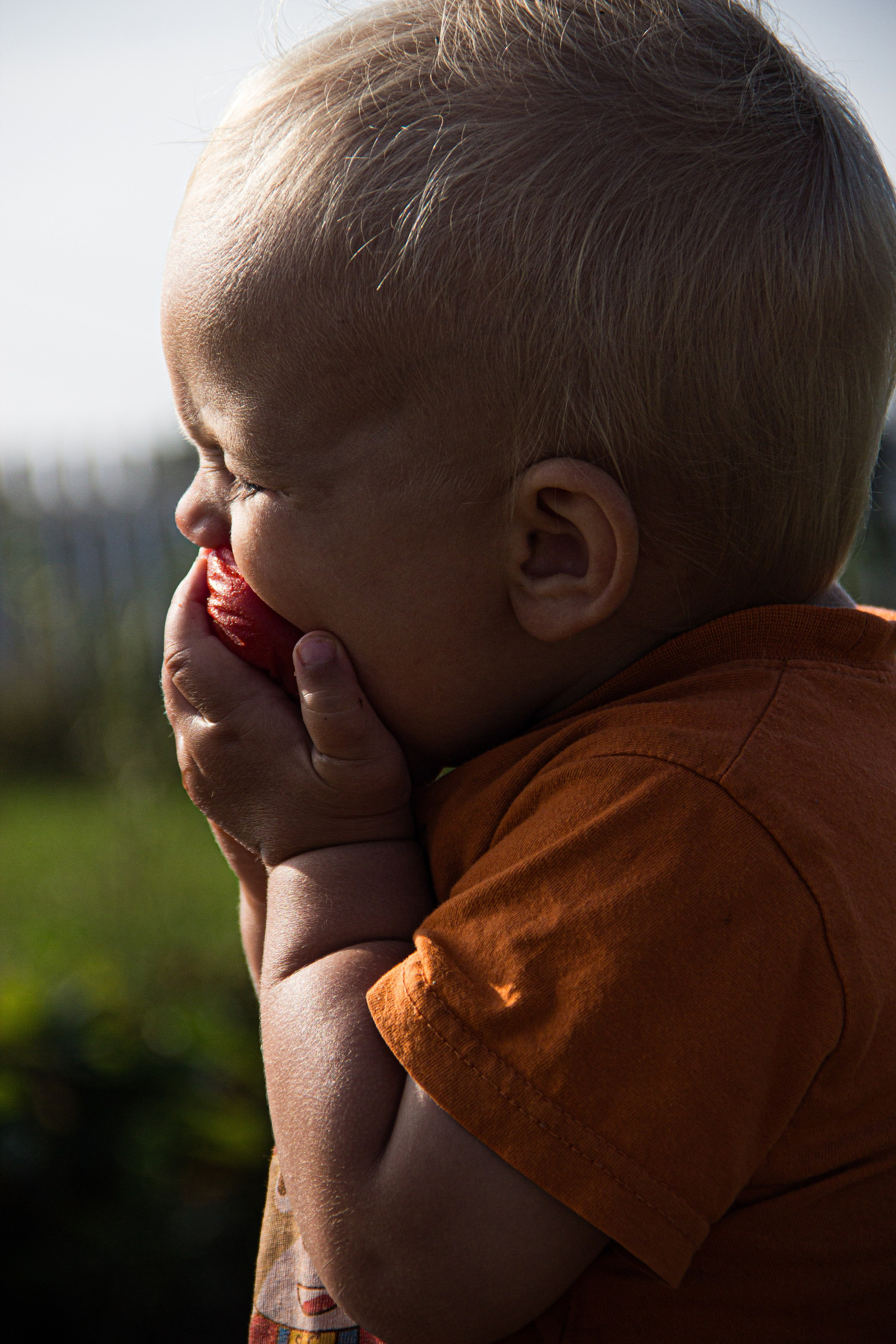 Portrait: Tomato Delight 🍅. Фотограф в Перми Любовь Огородова | Авторские туры