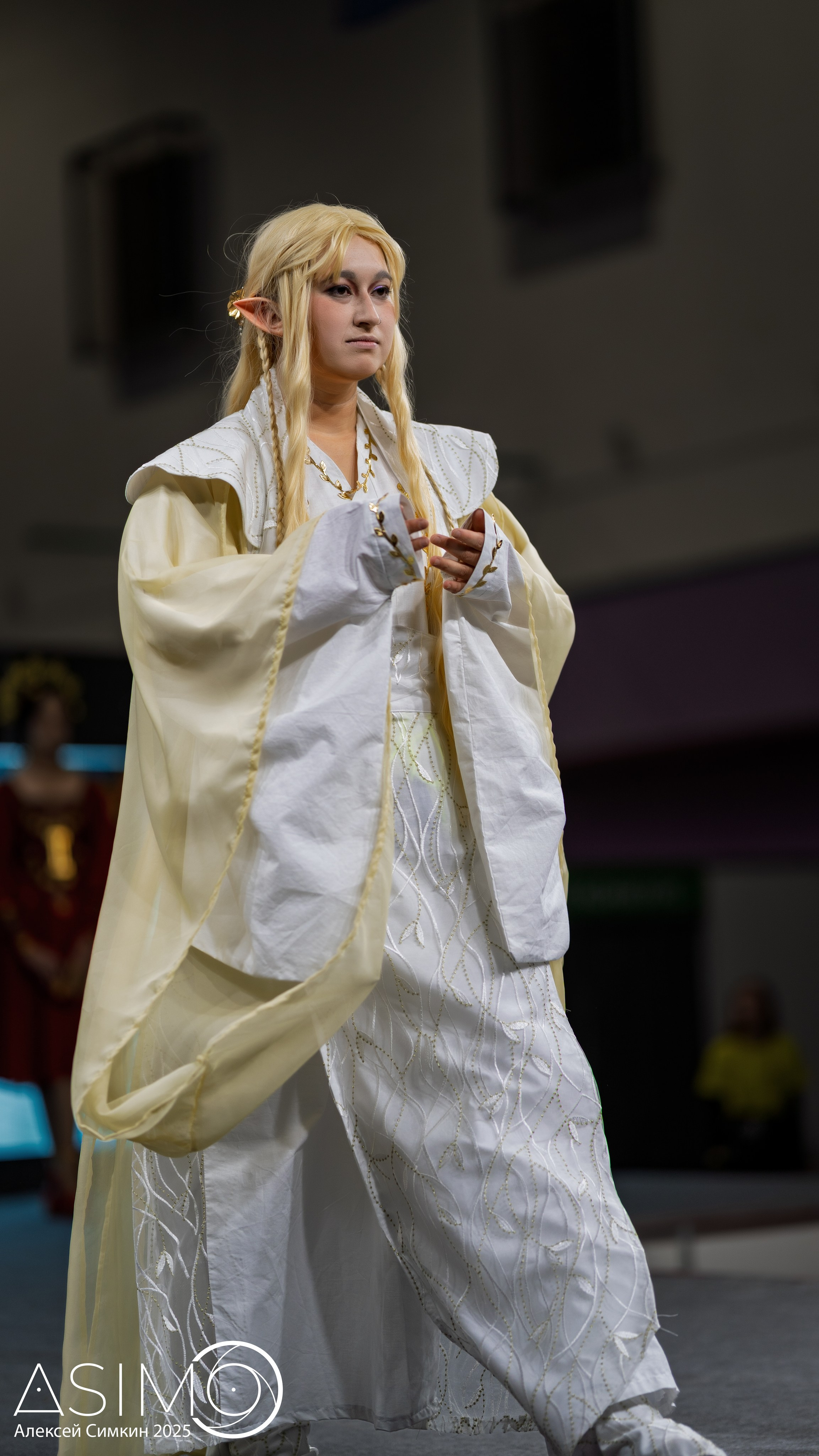 Unicon & GameExpo Minsk. Арт и семейный фотограф/видеограф Алексей Симкин