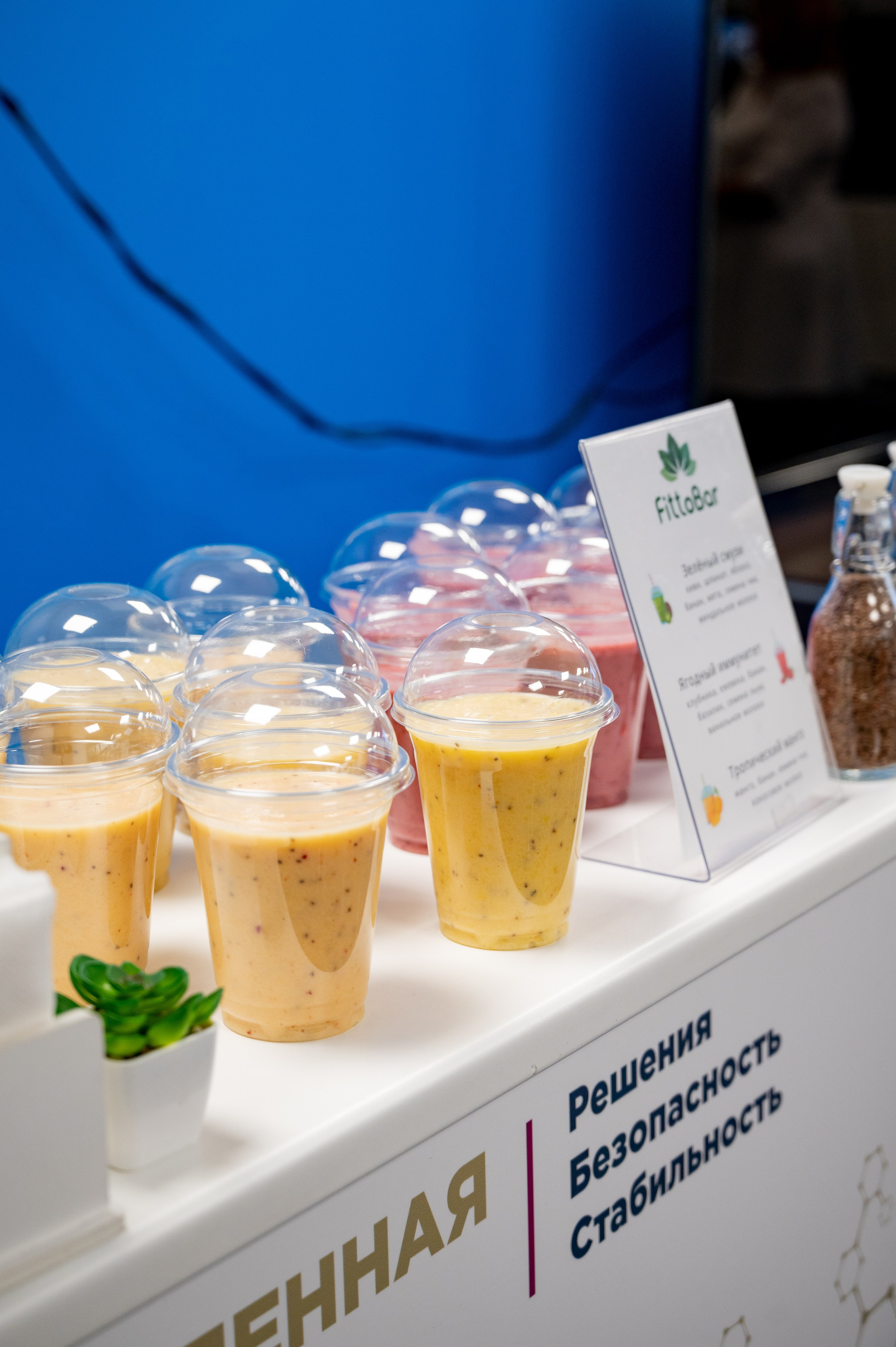 День Здоровья. Фотограф Мария