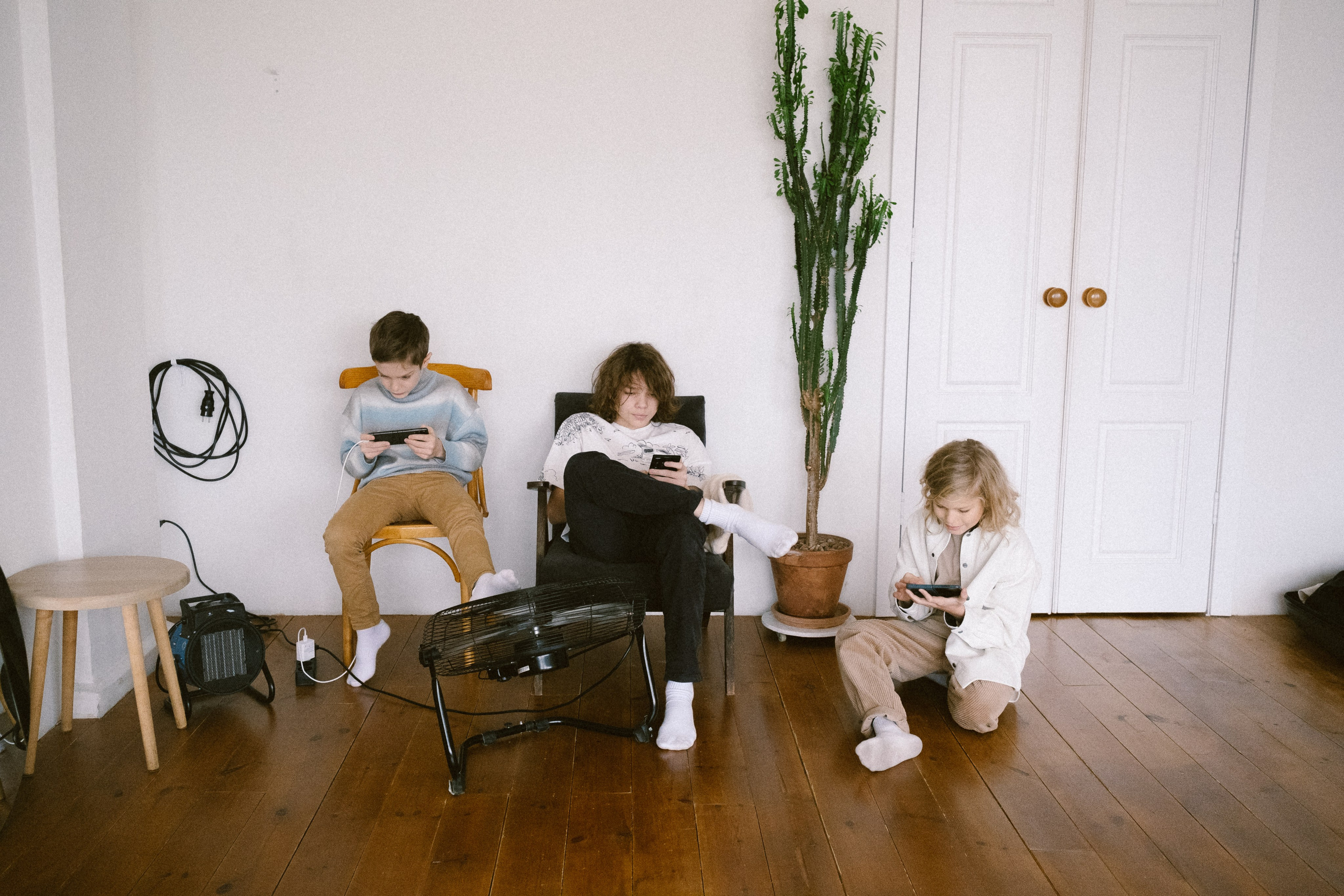 Даша. Фотограф Москва / Зеленоград — Наталья Петухова