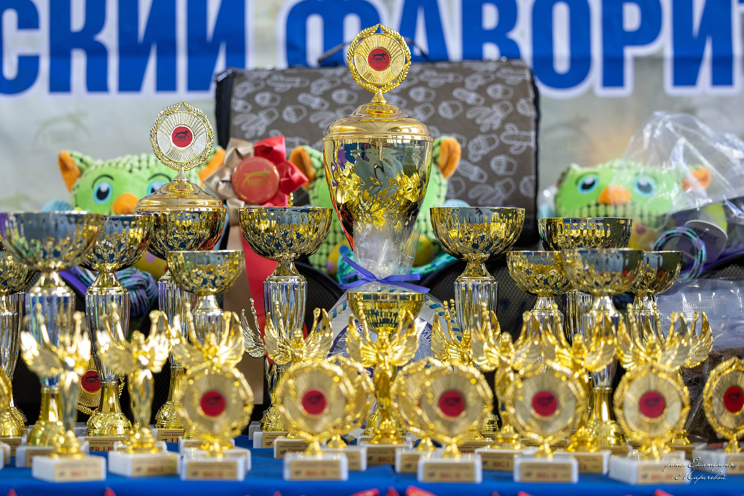 Анонсы выставок. Фотограф-анималист в Омске Екатерина Маричева