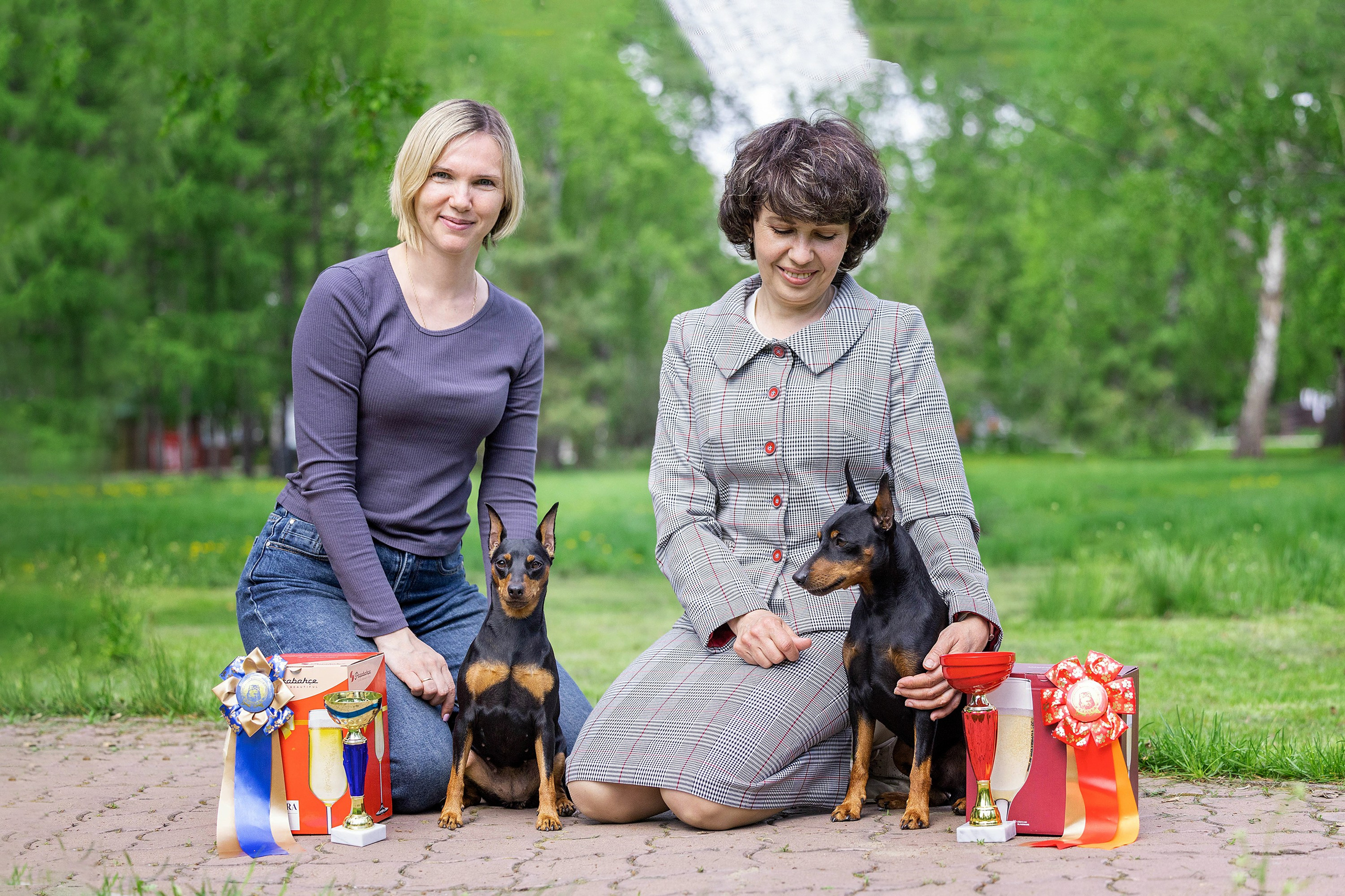 Заринговая съёмка на выставках собак. Фотограф-анималист в Омске Екатерина Маричева